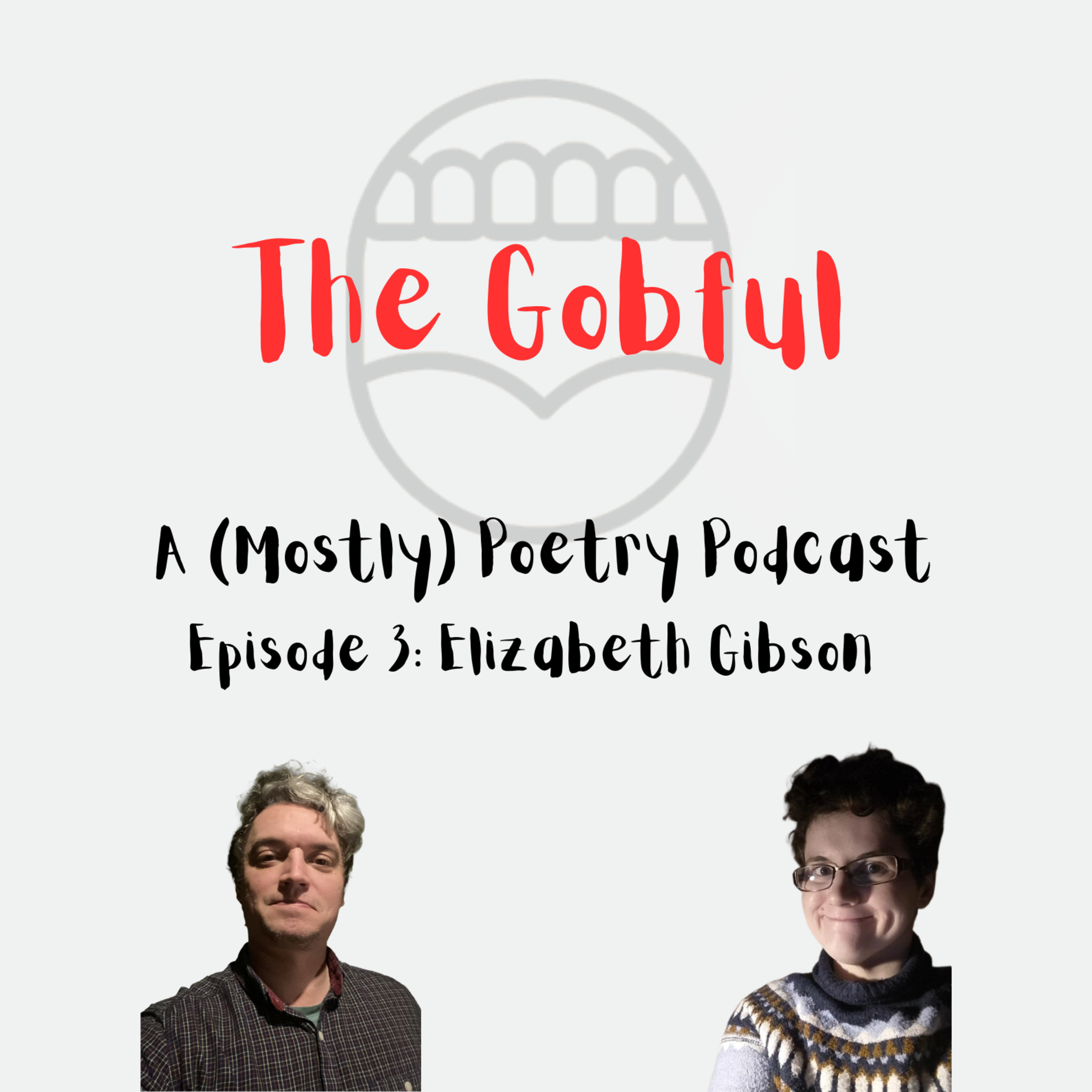 Episode 3: Elizabeth Gibson episode artwork