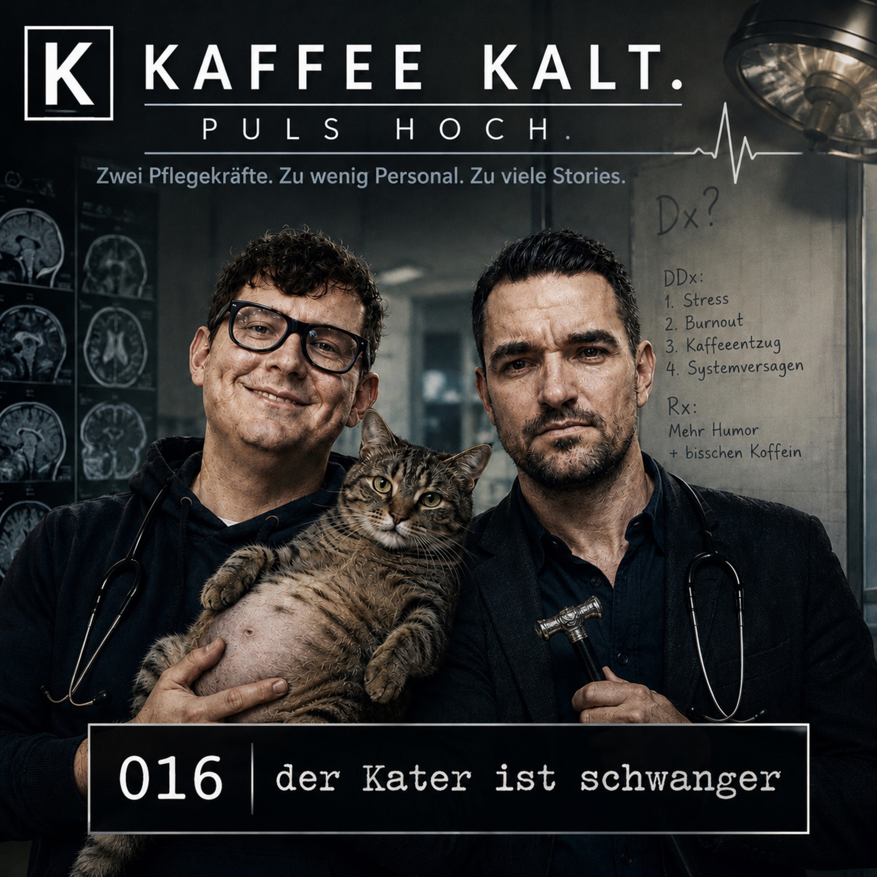 016 - Der Kater ist schwanger episode artwork