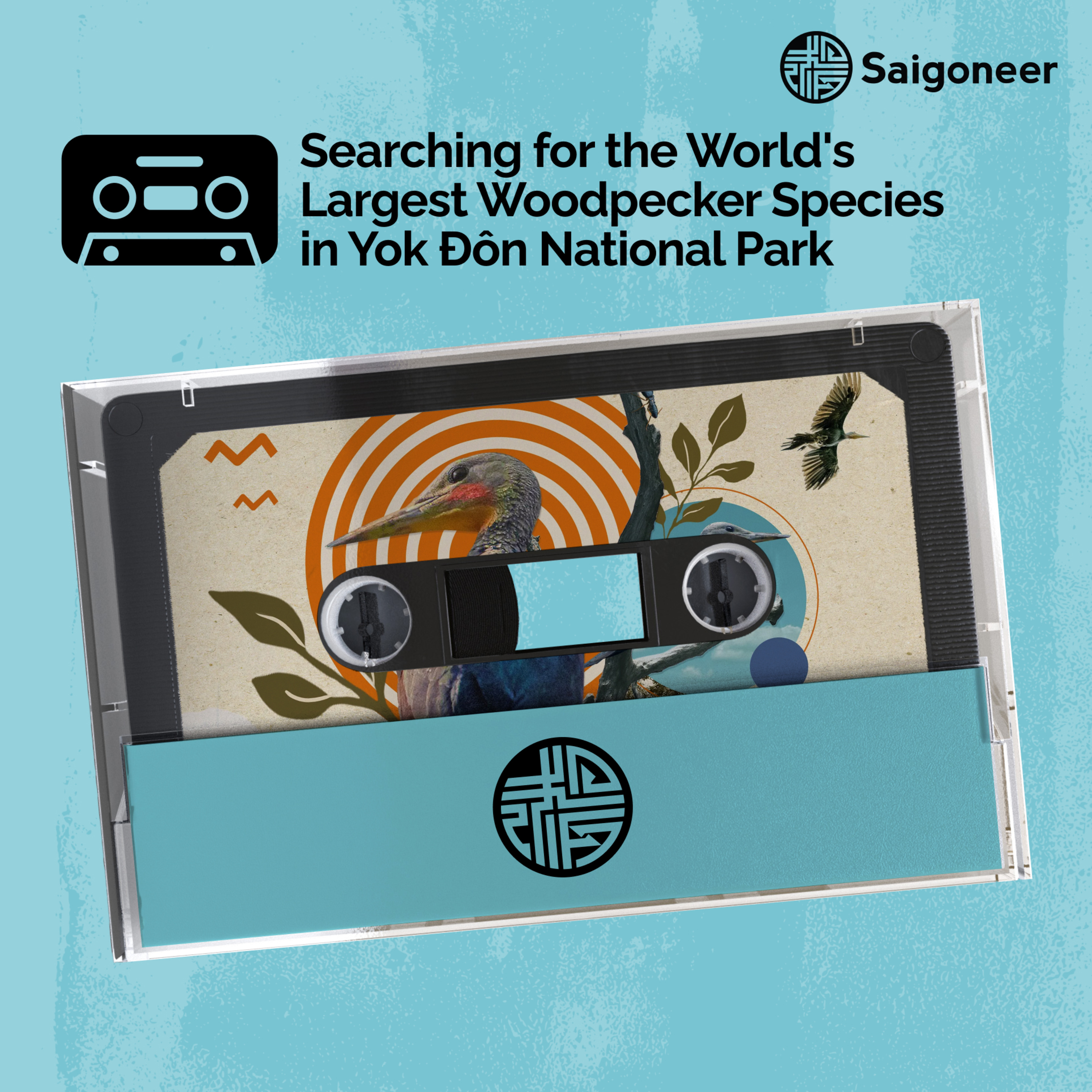 Society | Searching for the World's Largest Woodpecker Species in Yok Đôn National Park