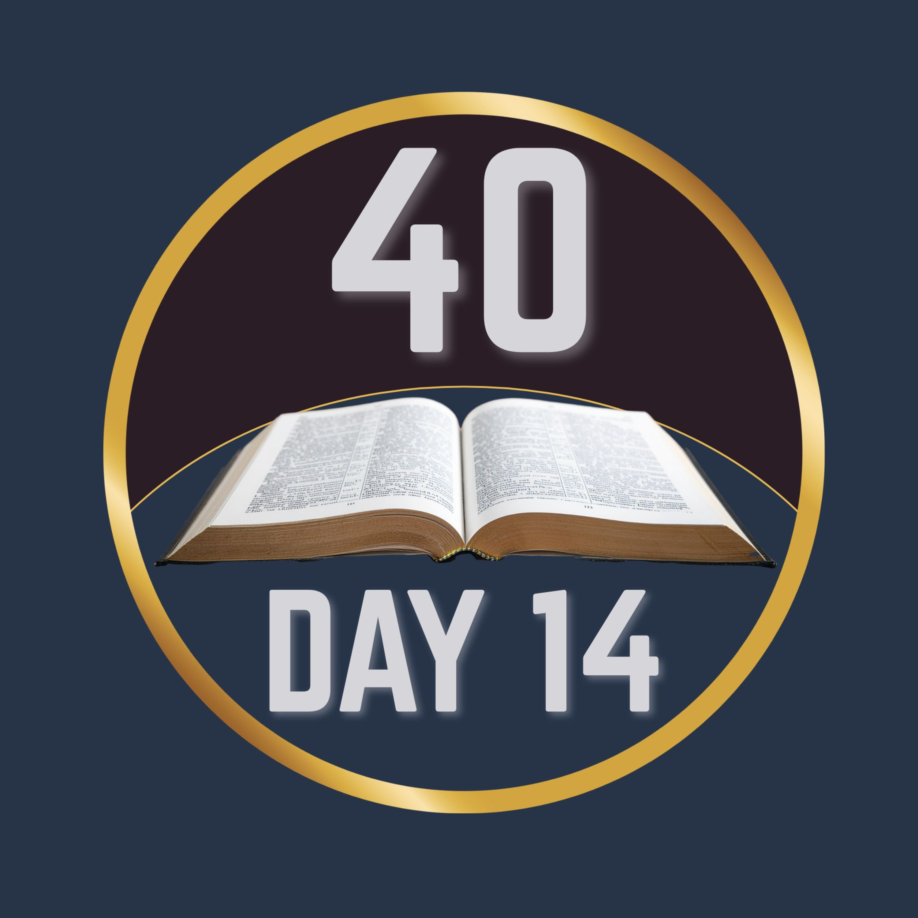 Day 14 - 2 Kings episode artwork