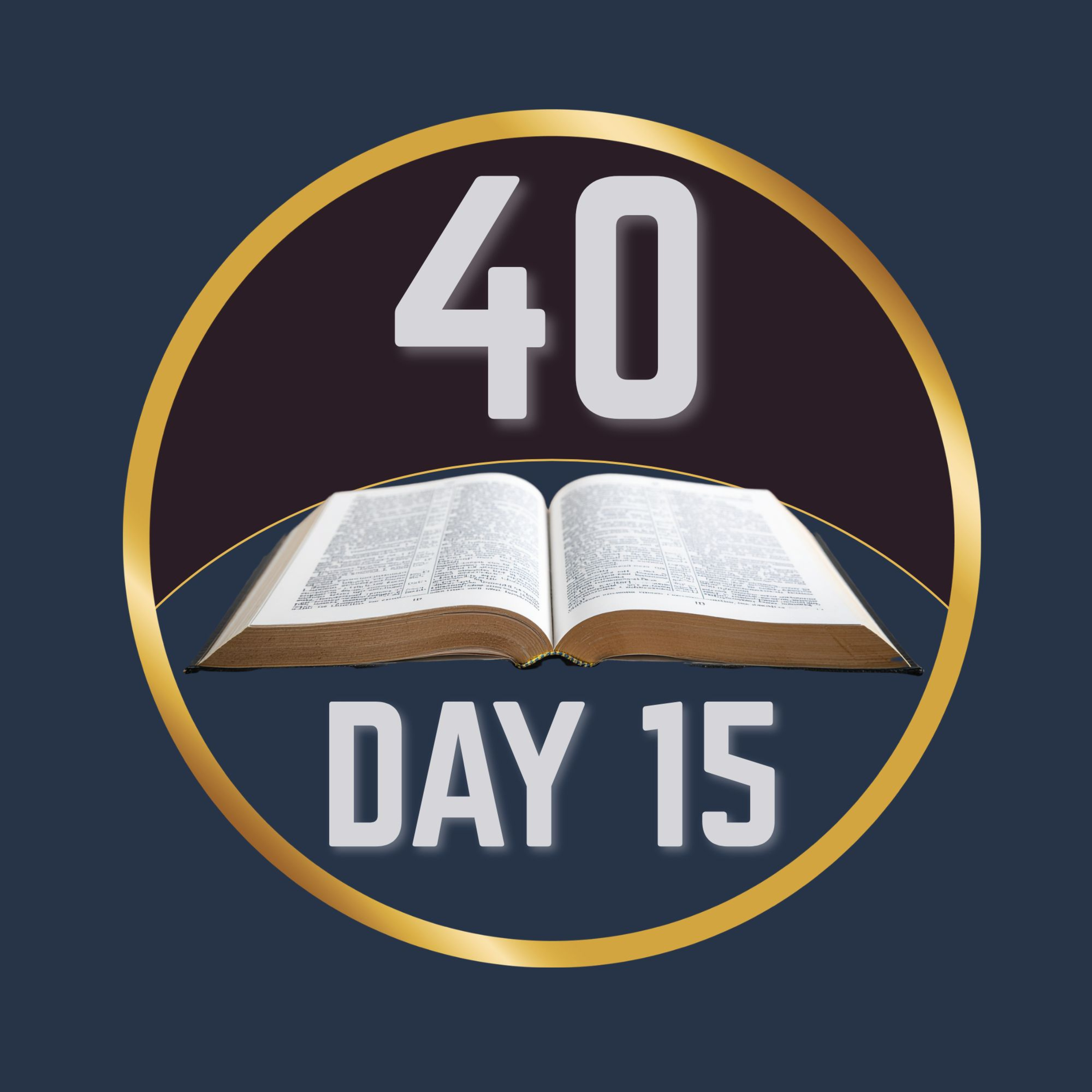 Day 15 - 1 Chronicles episode artwork