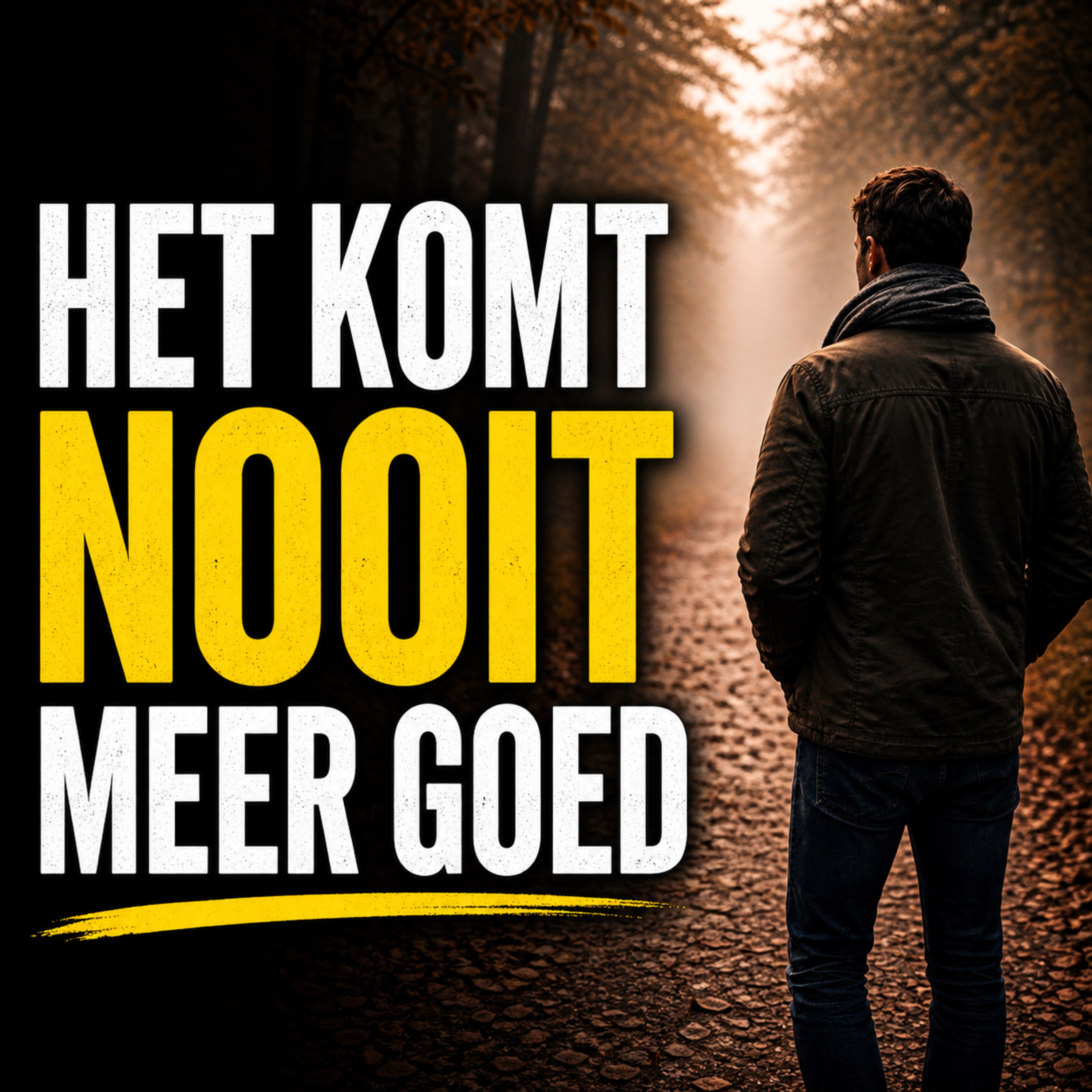 De angst dat het nooit meer goedkomt  episode artwork