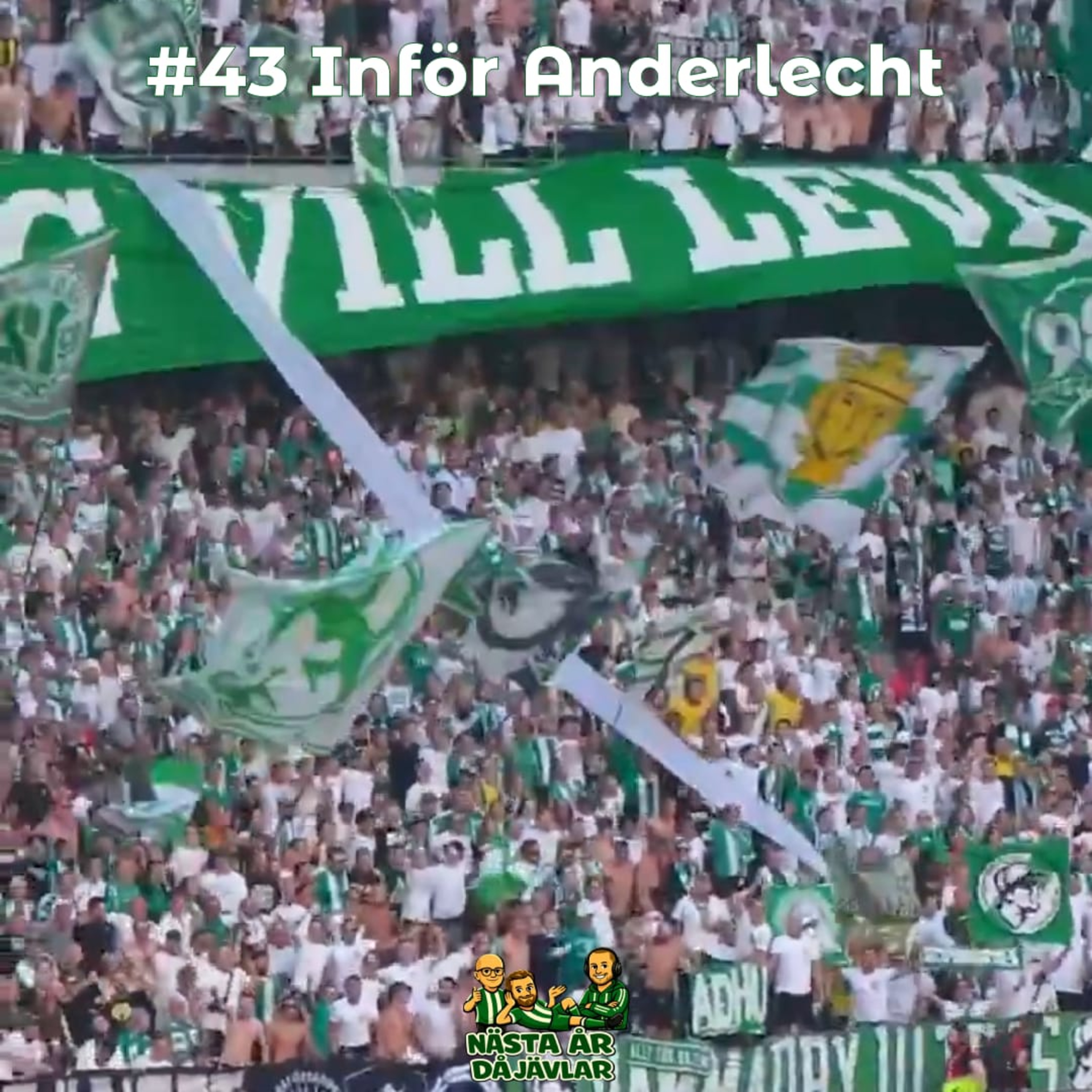 #43 Inför Anderlecht med Belgisk fotboll