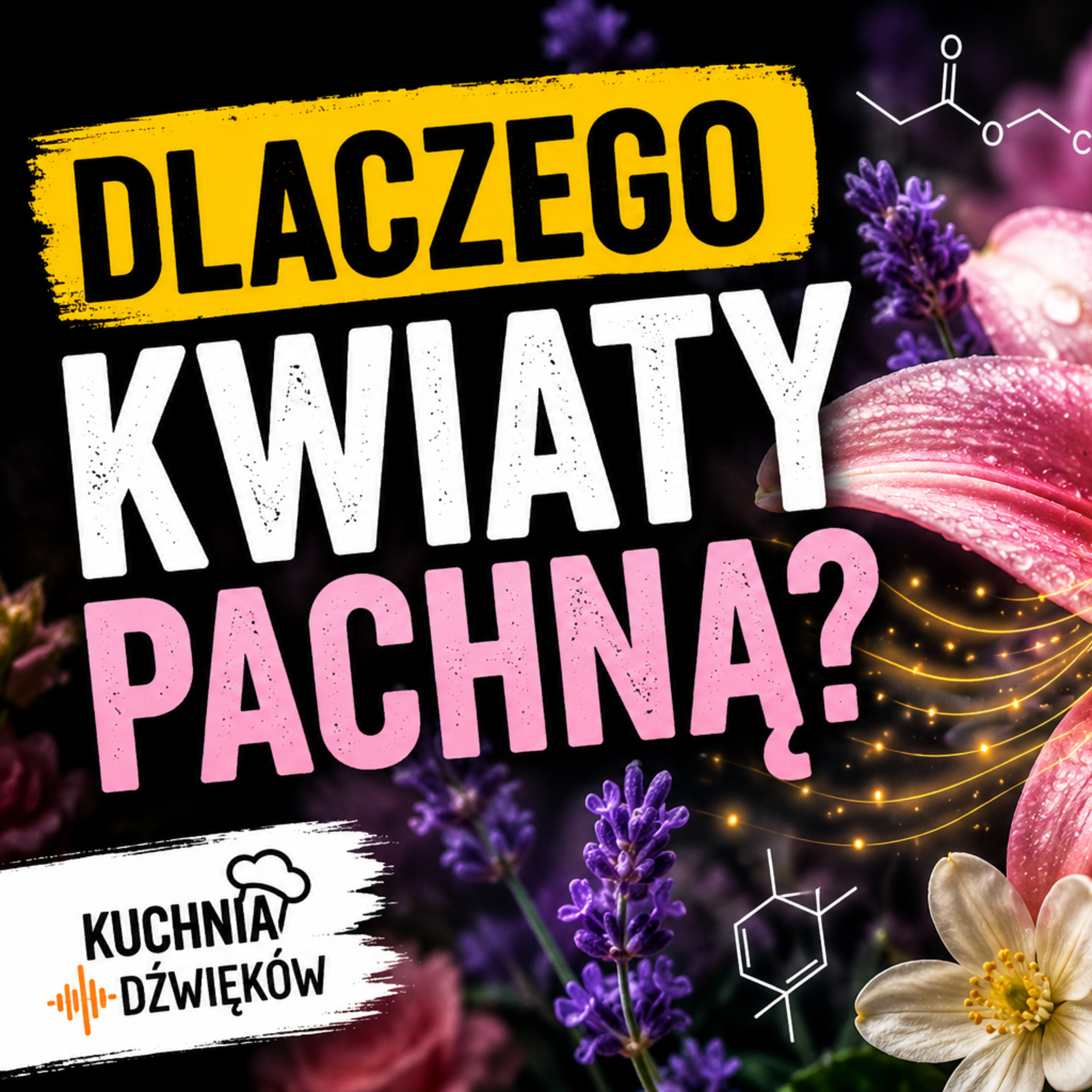 Dlaczego kwiaty pachną? episode artwork
