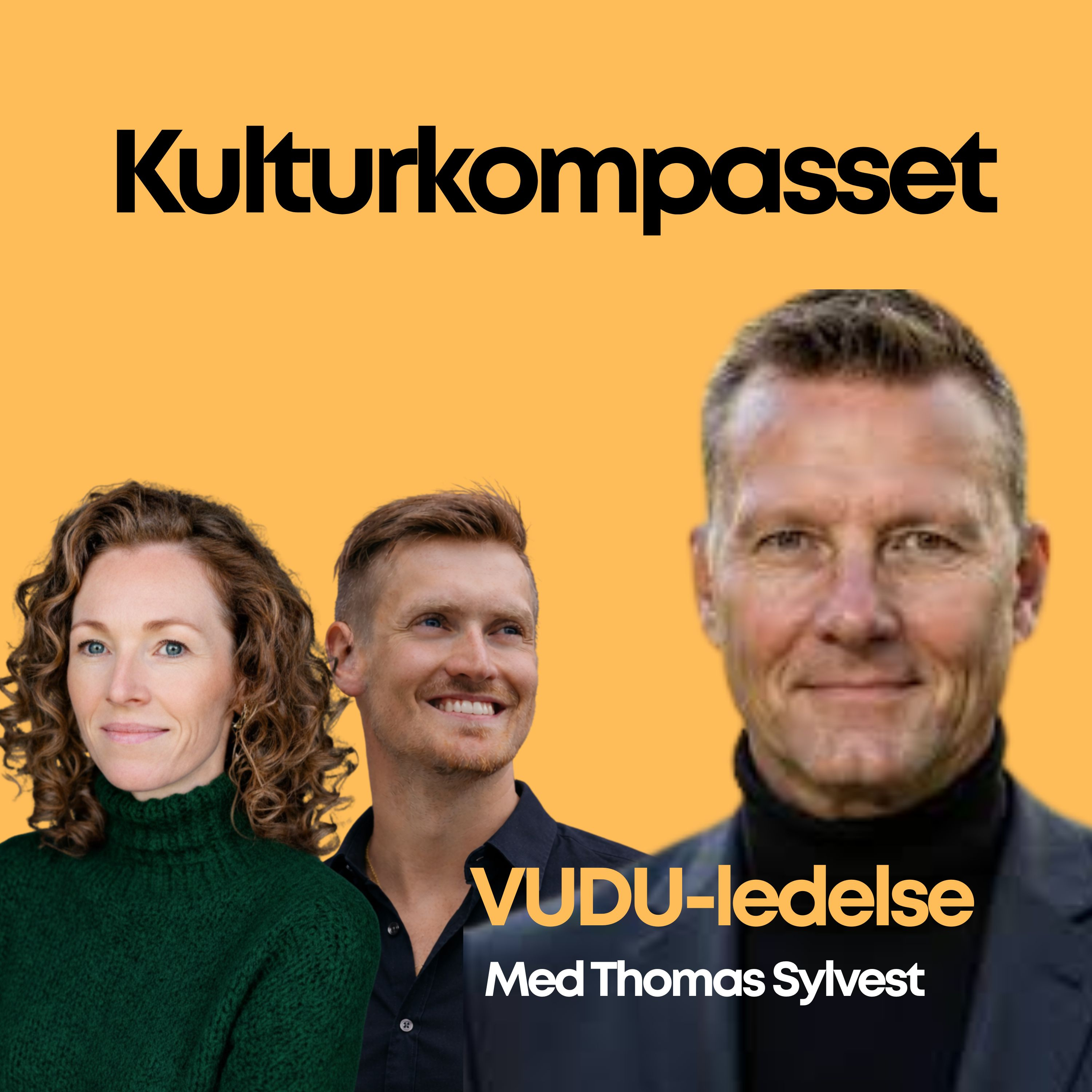 Thomas Sylvest: Manden bag VUDU-ledelse