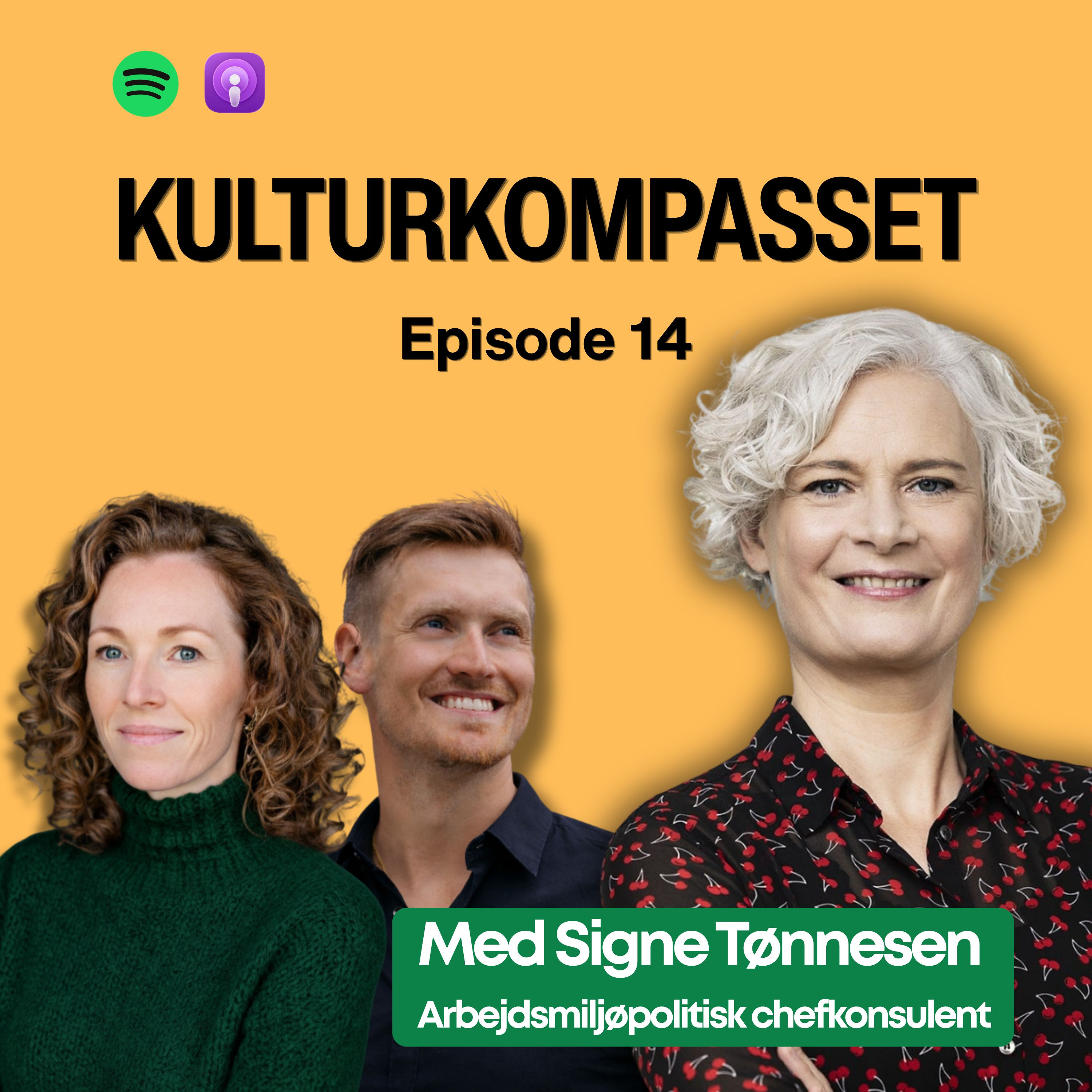 Ledertrivsel: Den krise vi ikke taler om | Signe Tønnesen