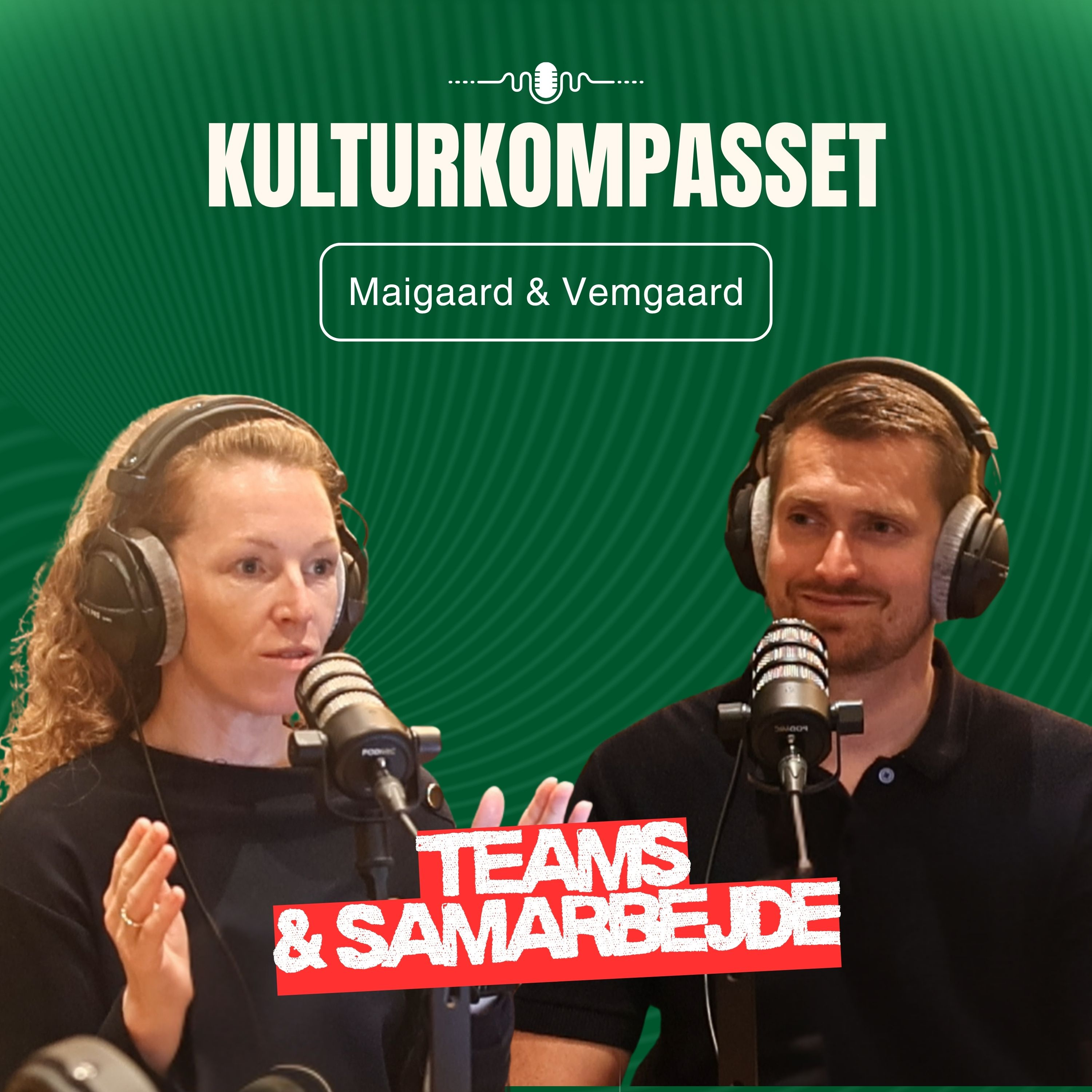 Fra gruppe til team: Adfærden der ødelægger samarbejdet | Sandra & Christian episode artwork