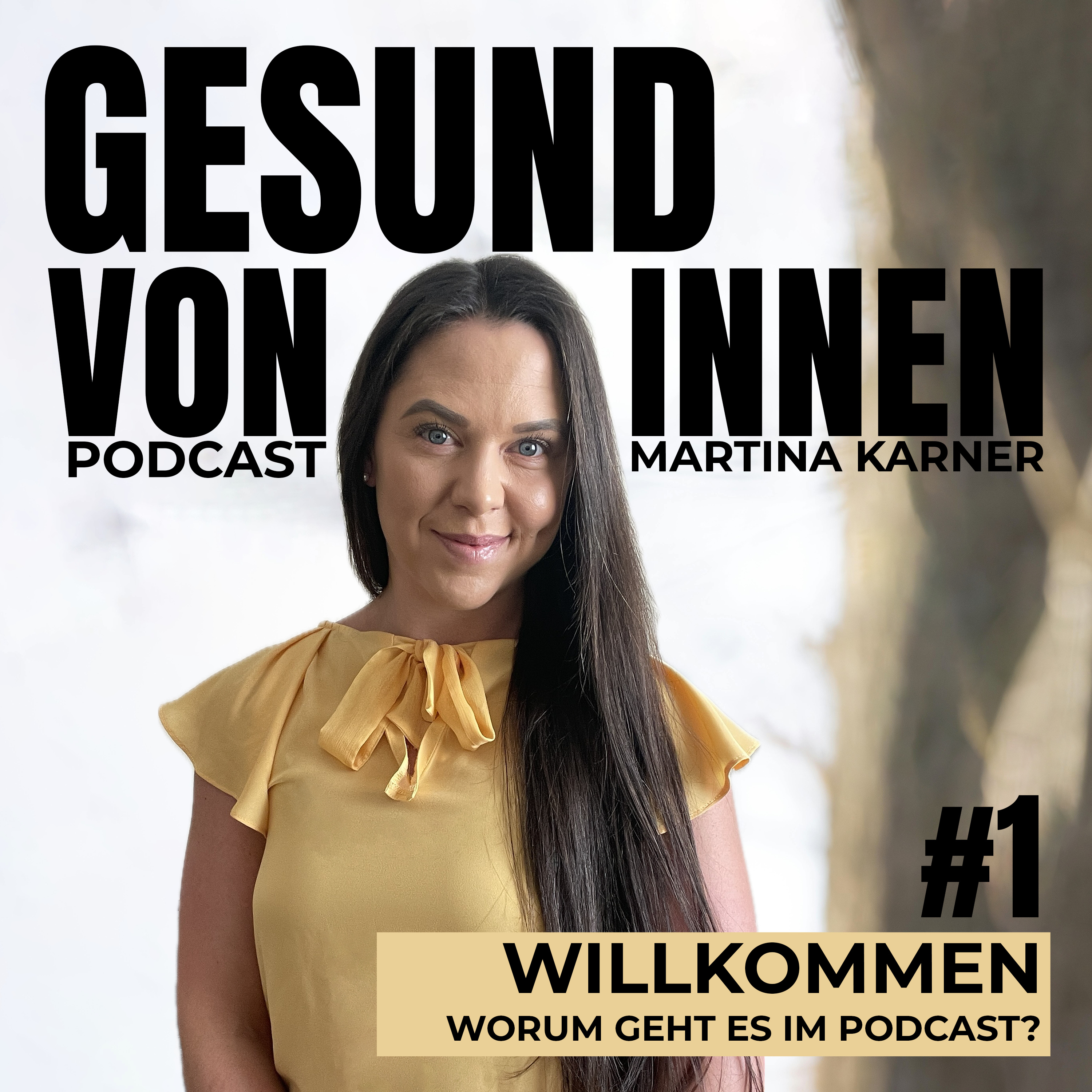 Willkommen bei Gesund von innen episode artwork