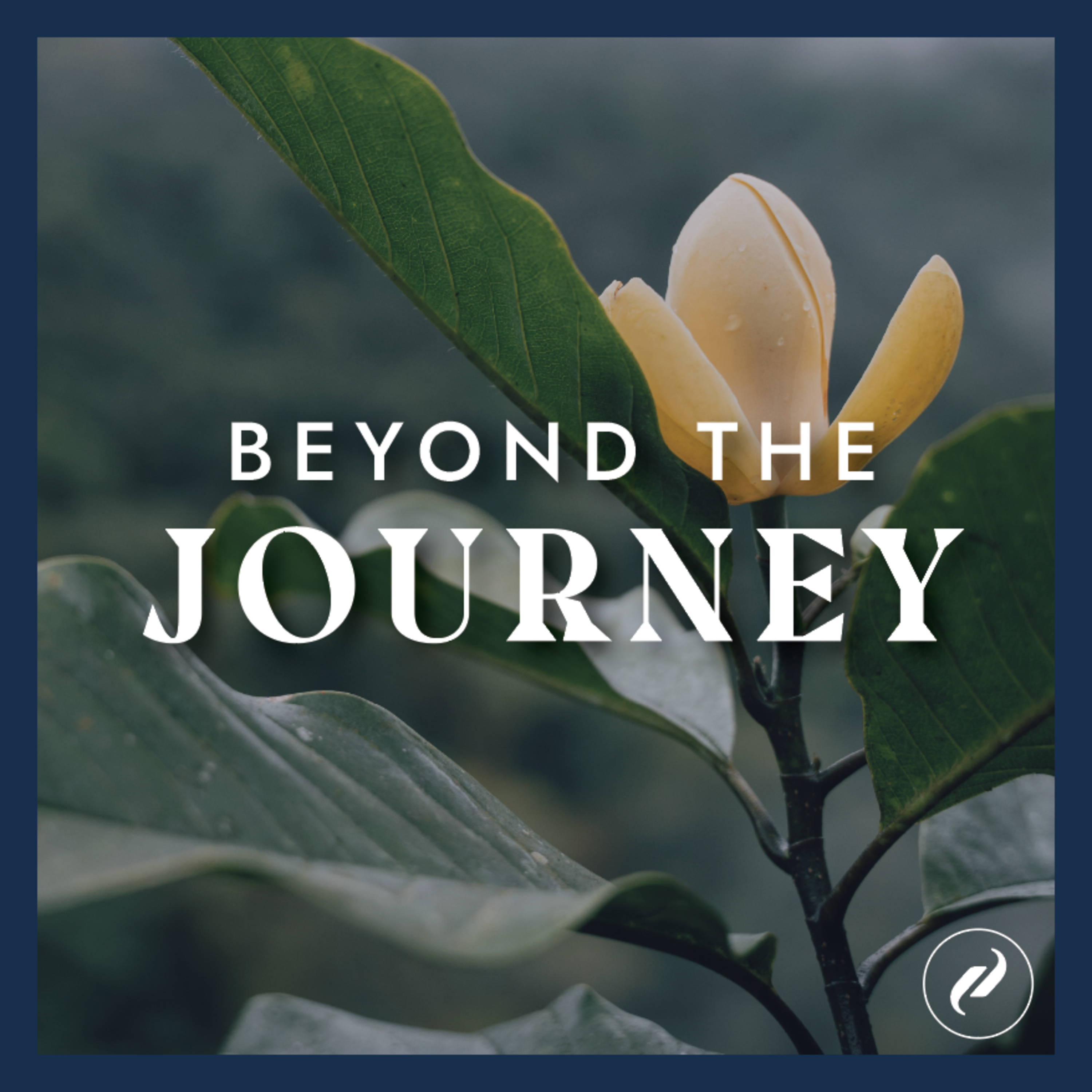 Episode 2 · Magnolia mashpi fragance: The Art of a Perfumery with Purpose