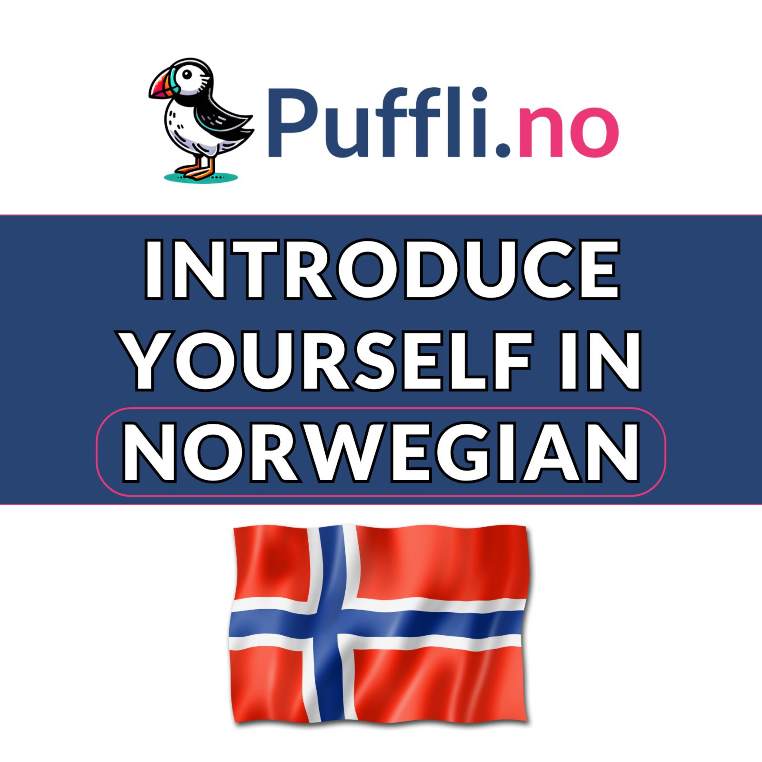 Introduce Yourself in Norwegian 🇳🇴