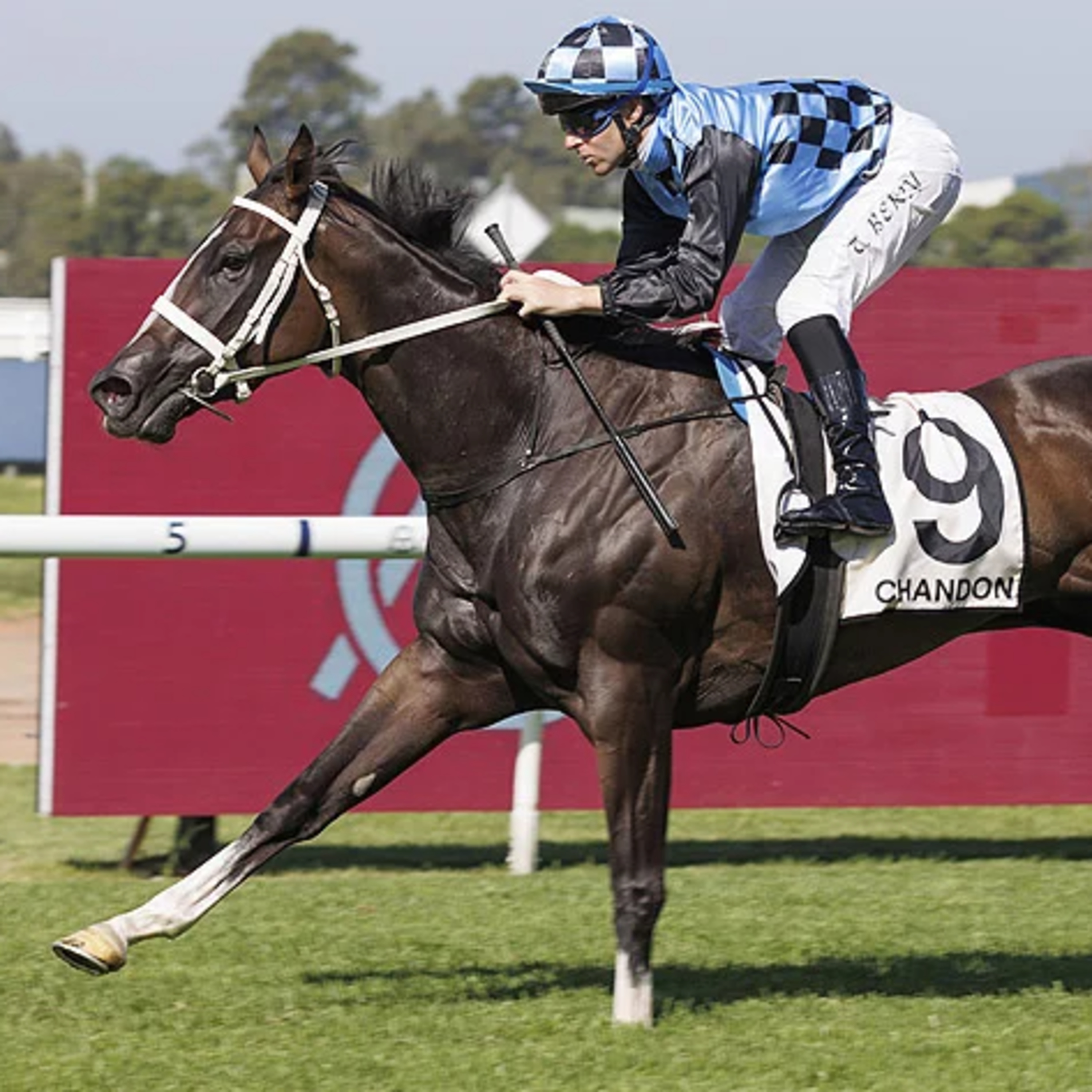 The Inglis Punter's Preamble - 2026 Coolmore Classic Day