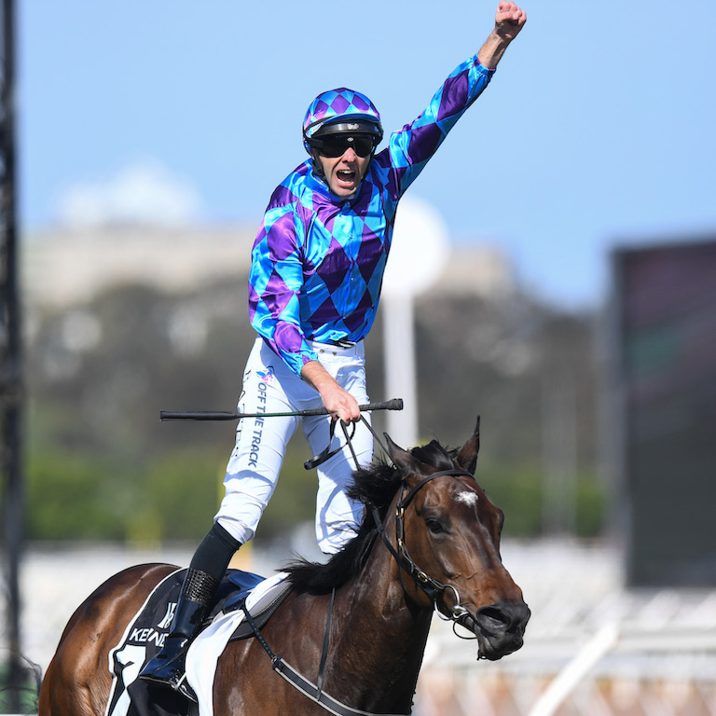 Inglis Punter's Preamble - 2026 Hollindale Stakes Day episode artwork
