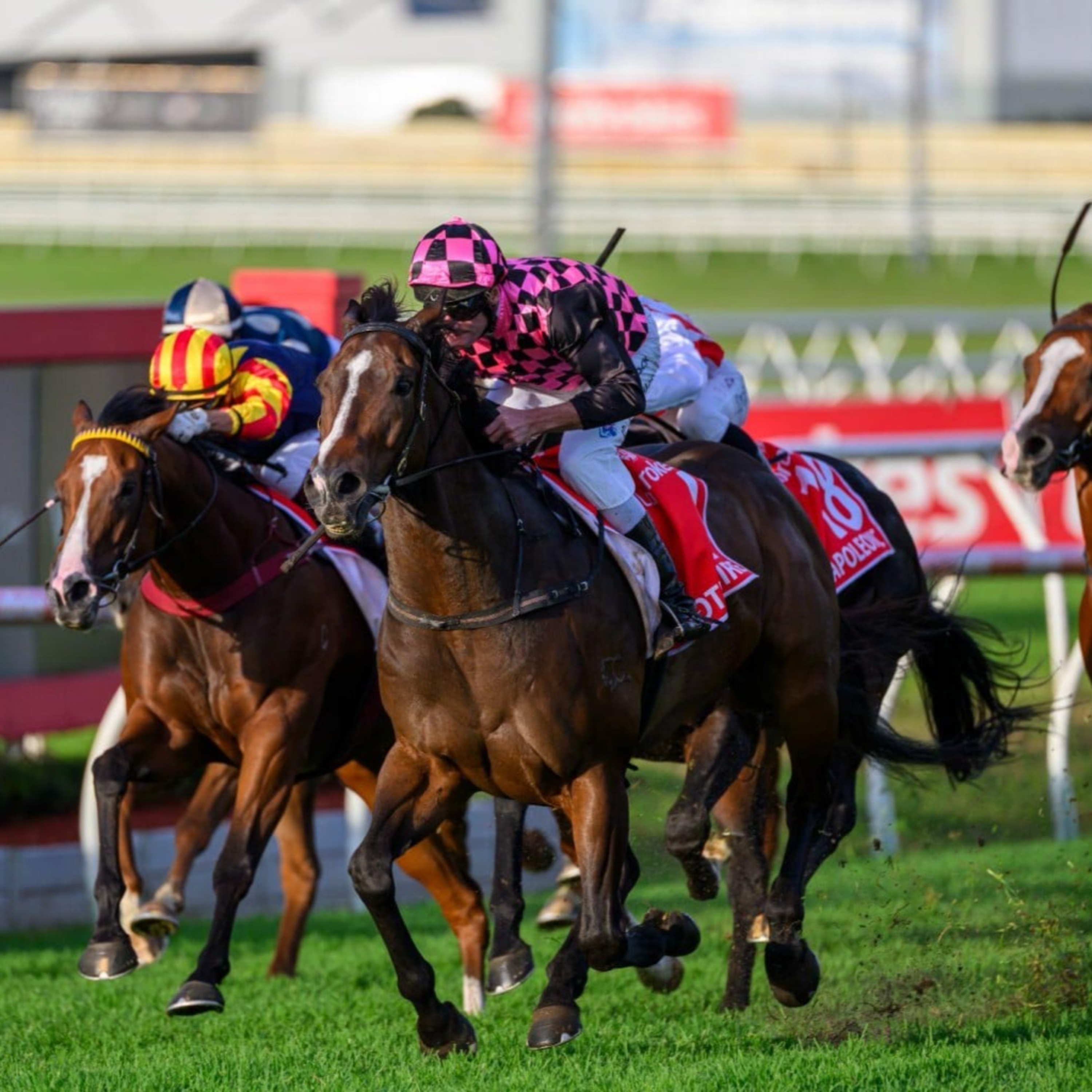Punter's Preamble - 2026 Queensland Derby Day episode artwork
