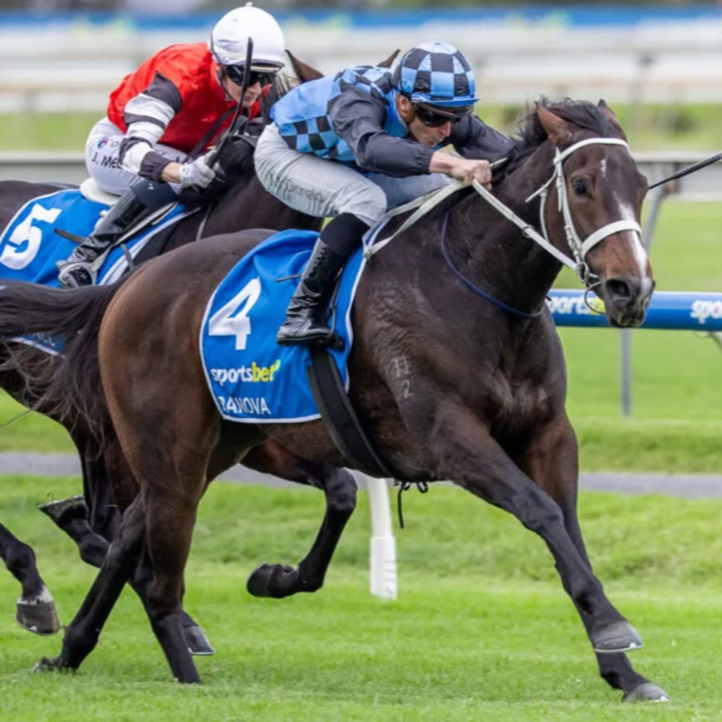 Punter's Preamble - 2026 Qld Oaks Day episode artwork