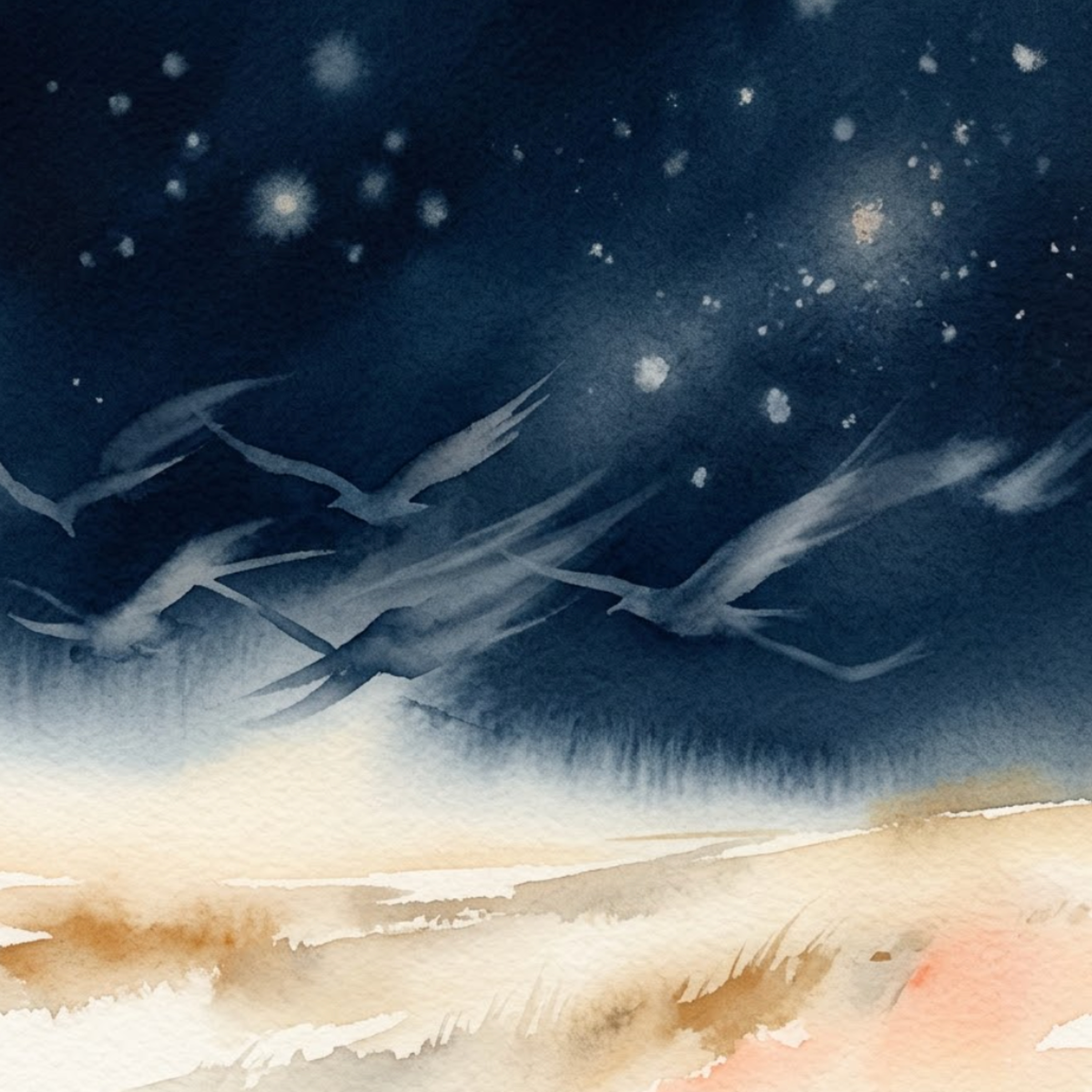 Torres del Paine – Wo Stiefel auf den Wind warten episode artwork