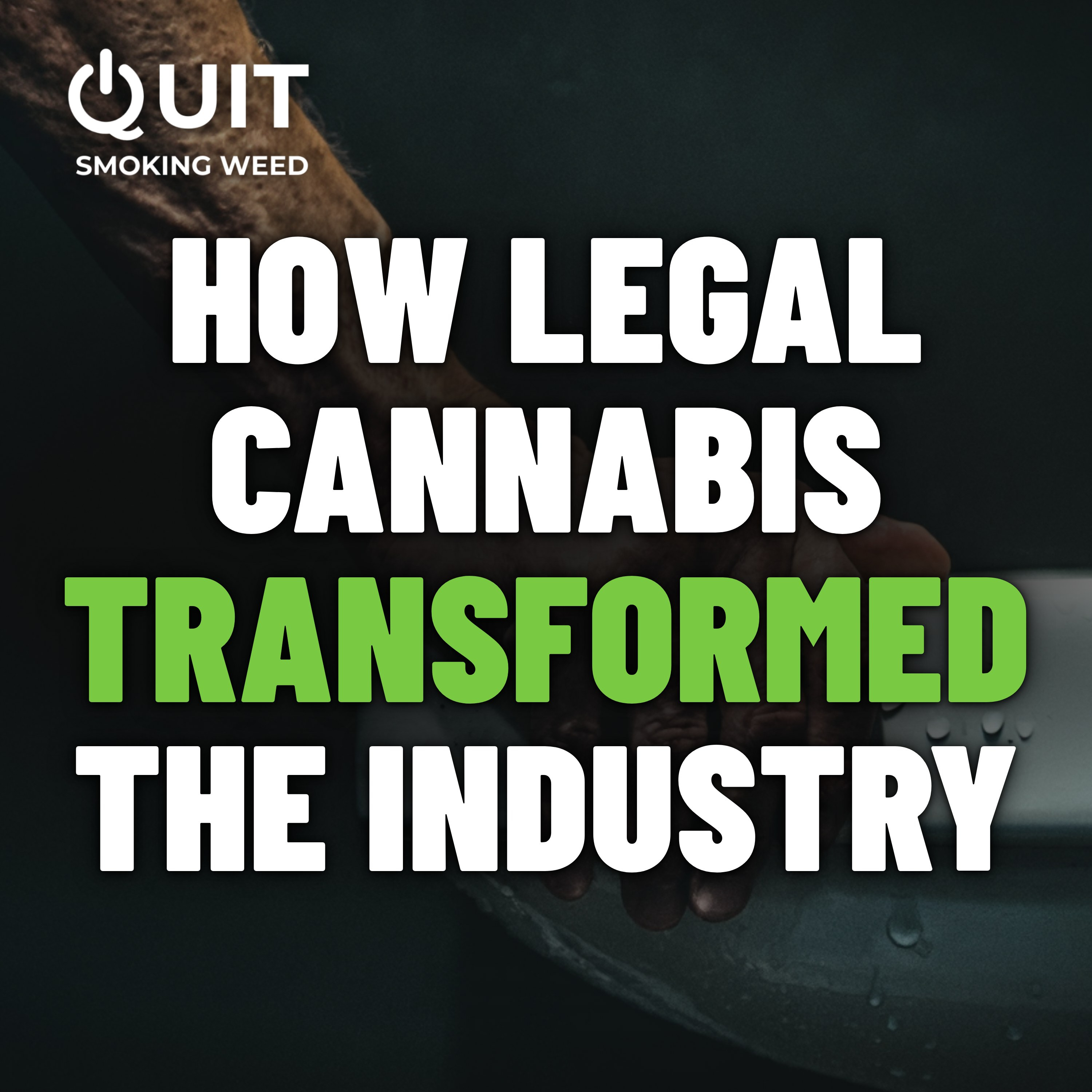 #40 Legal Cannabis: how the product changed and why quitting got harder