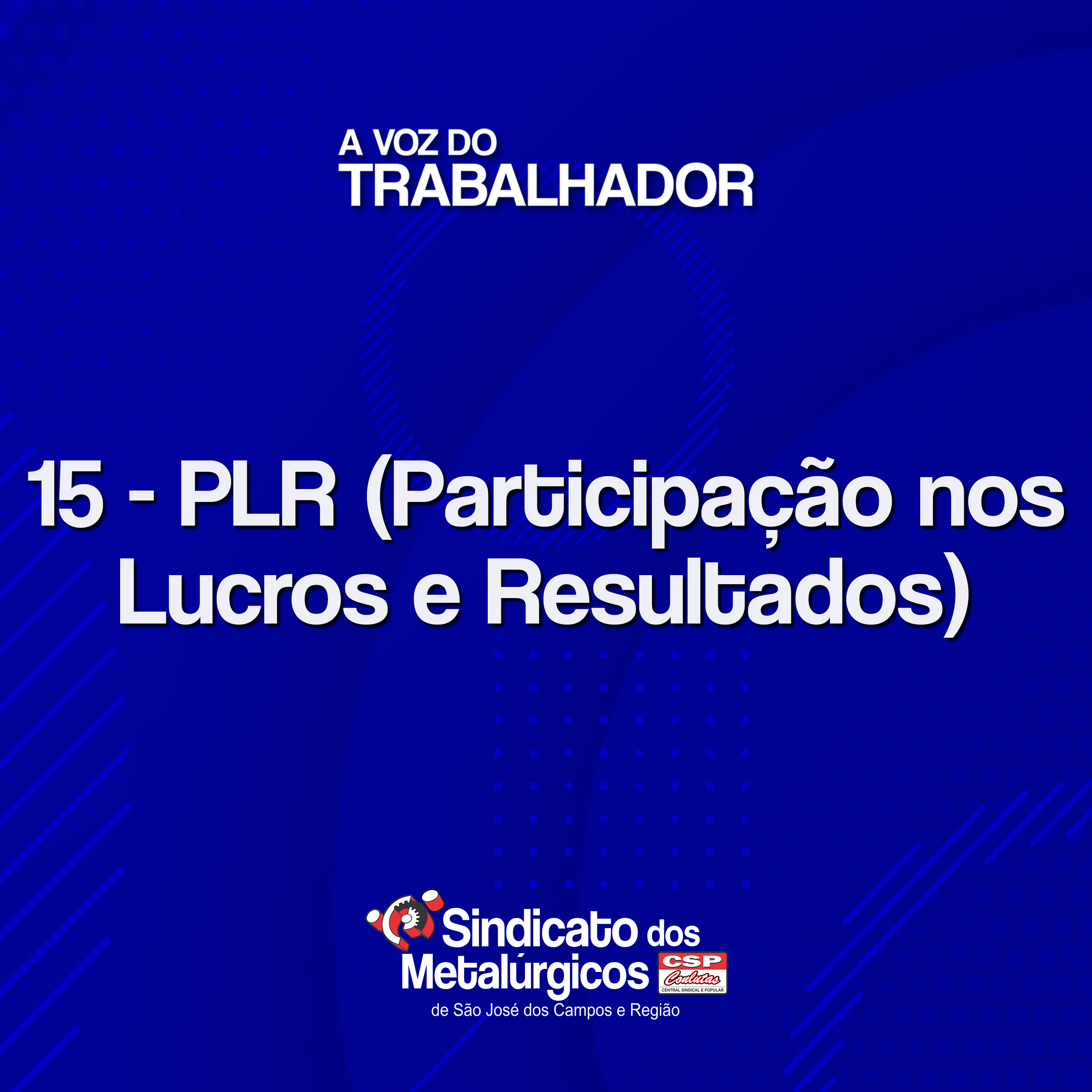 15: PLR (Participação nos Lucros e Resultados) episode artwork