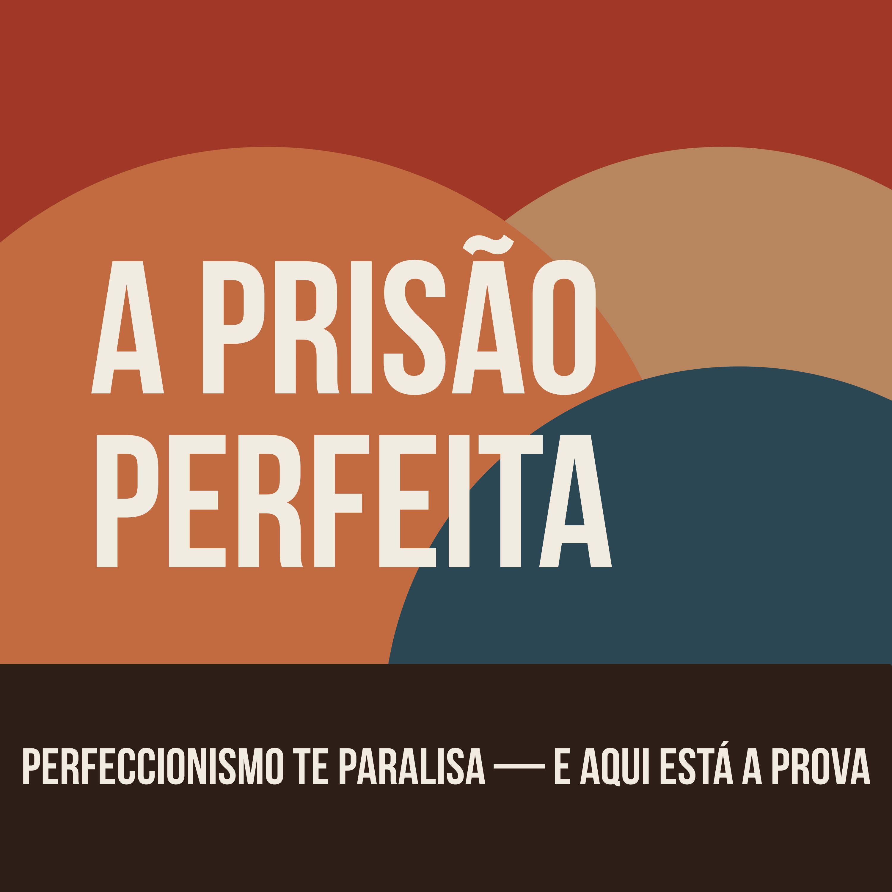 PERFECCIONISMO TE PARALISA — E AQUI ESTÁ A PROVA episode artwork