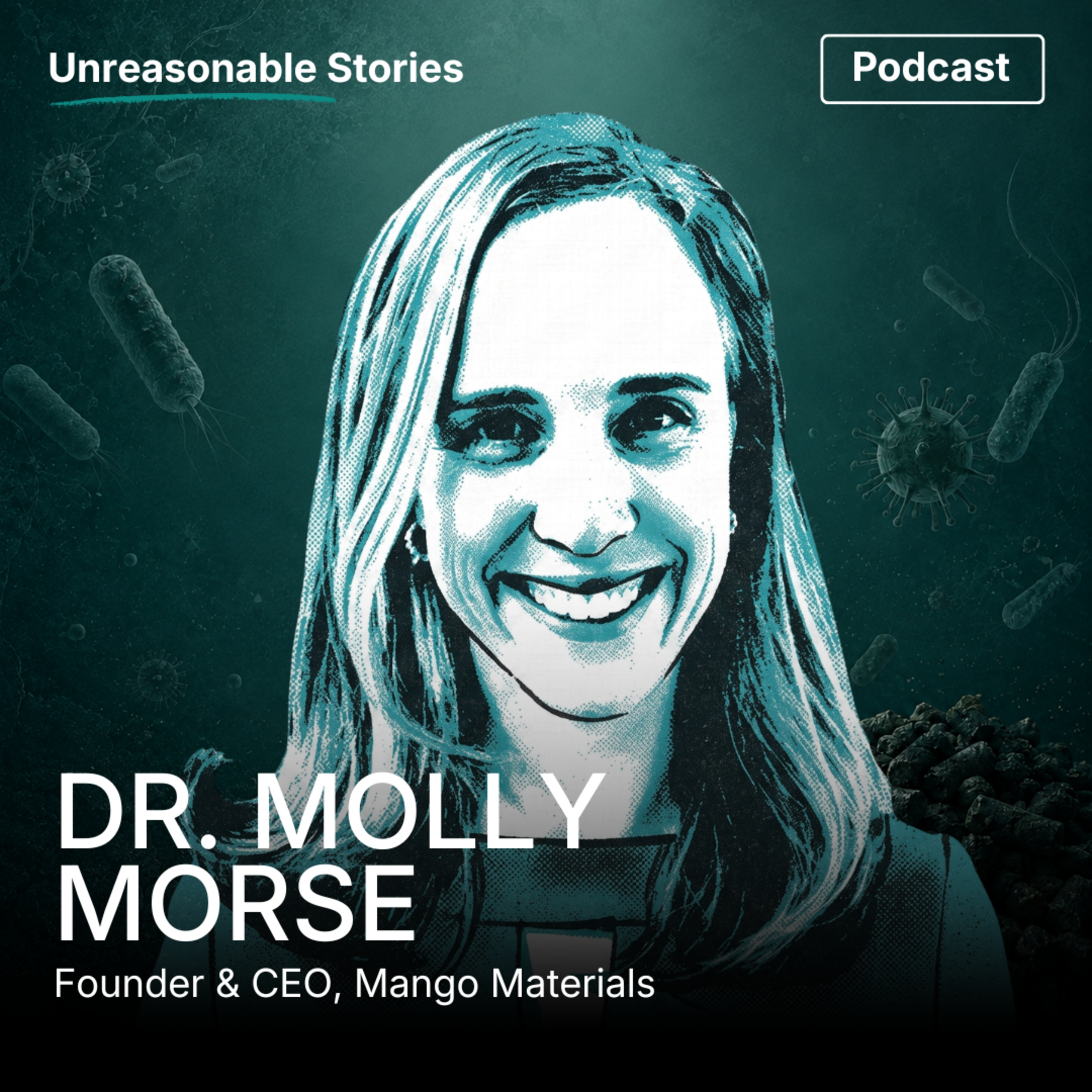Artwork for Unreasonable Stories