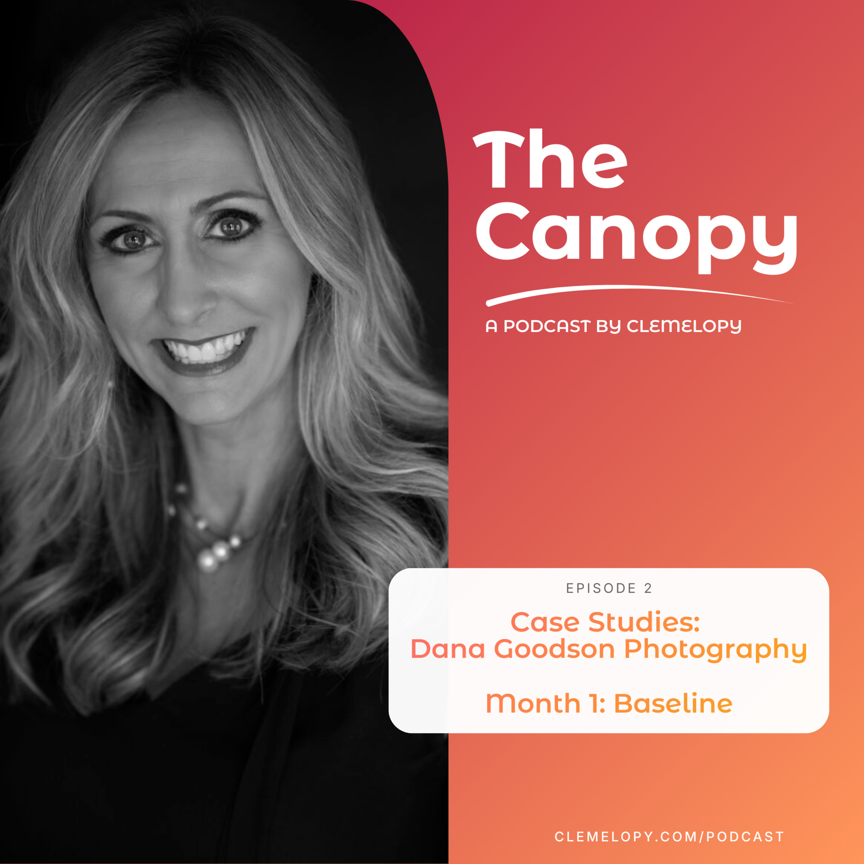 Episode 2: Case Studies: Dana Goodson Photography Month 1 Baseline episode artwork