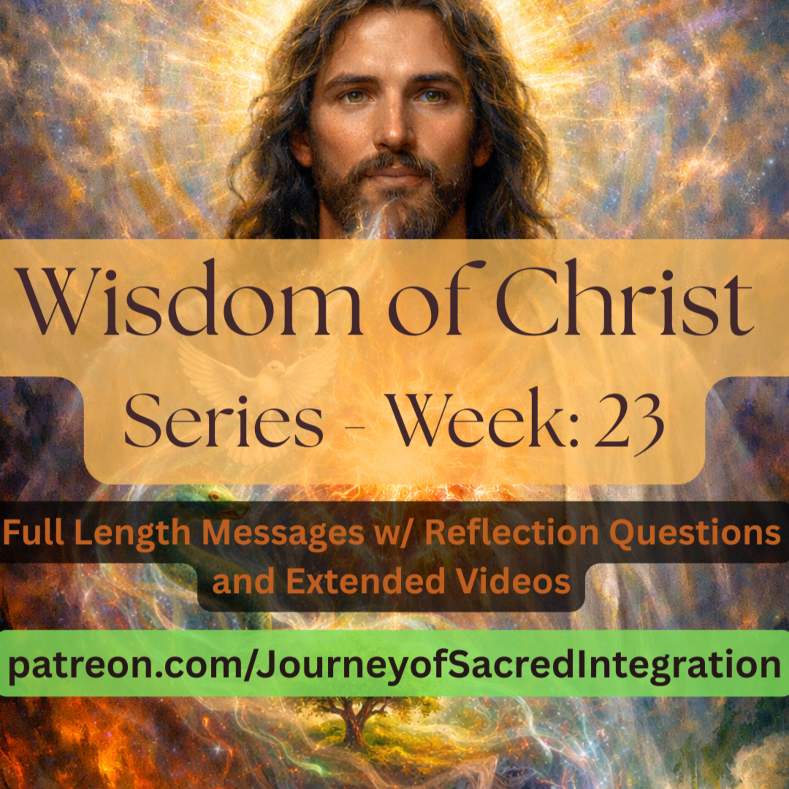 Week 23 — “Out of the Abundance of the Heart the Mouth Speaks” (Matthew 12:34, JSIV) | Heart Alignment, Inner Transformation, Speech episode artwork