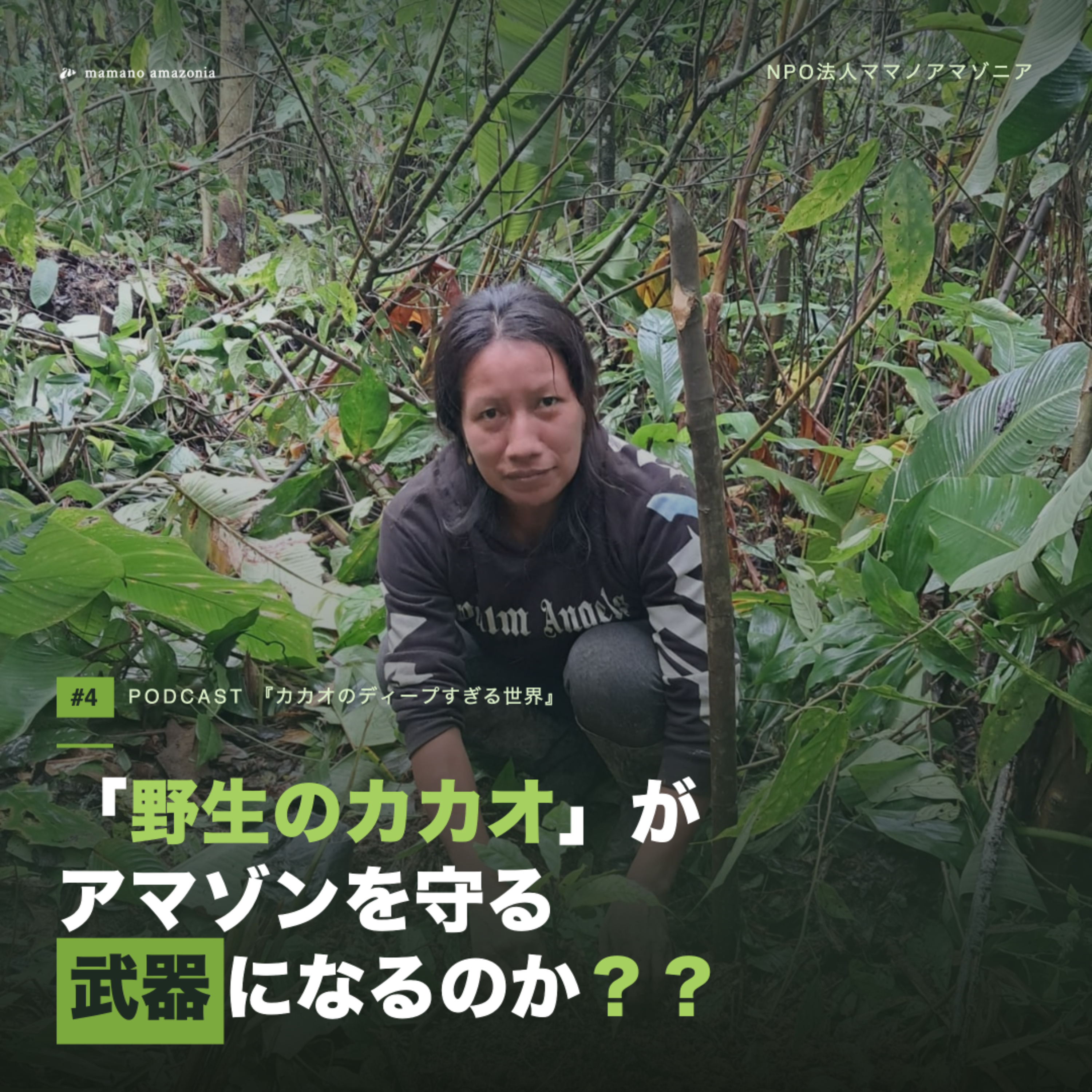 #4「野生のカカオ」がアマゾンを守る武器になるのか？？ episode artwork