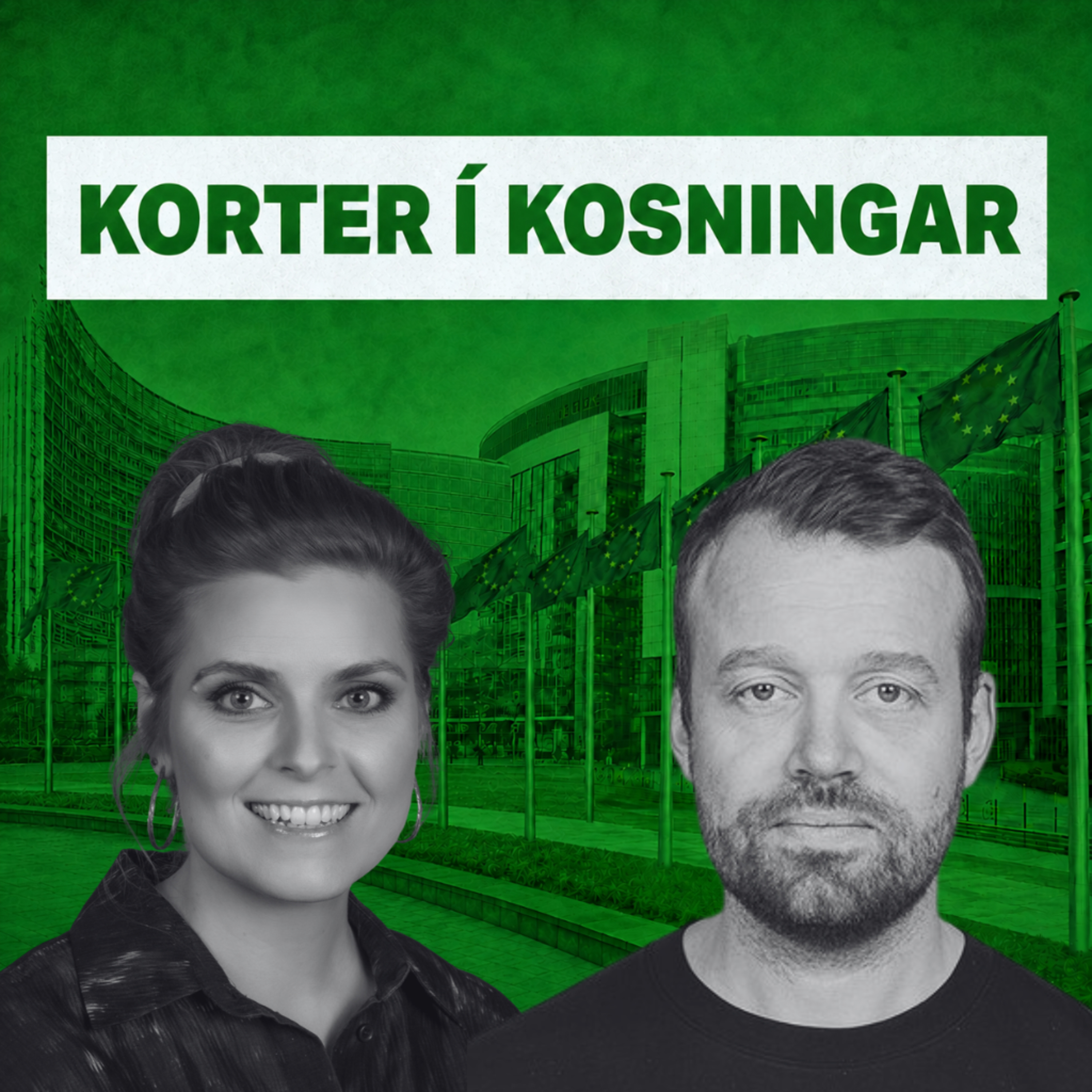 Hver er tímalínan ef við segjum JÁ til að SJÁ?