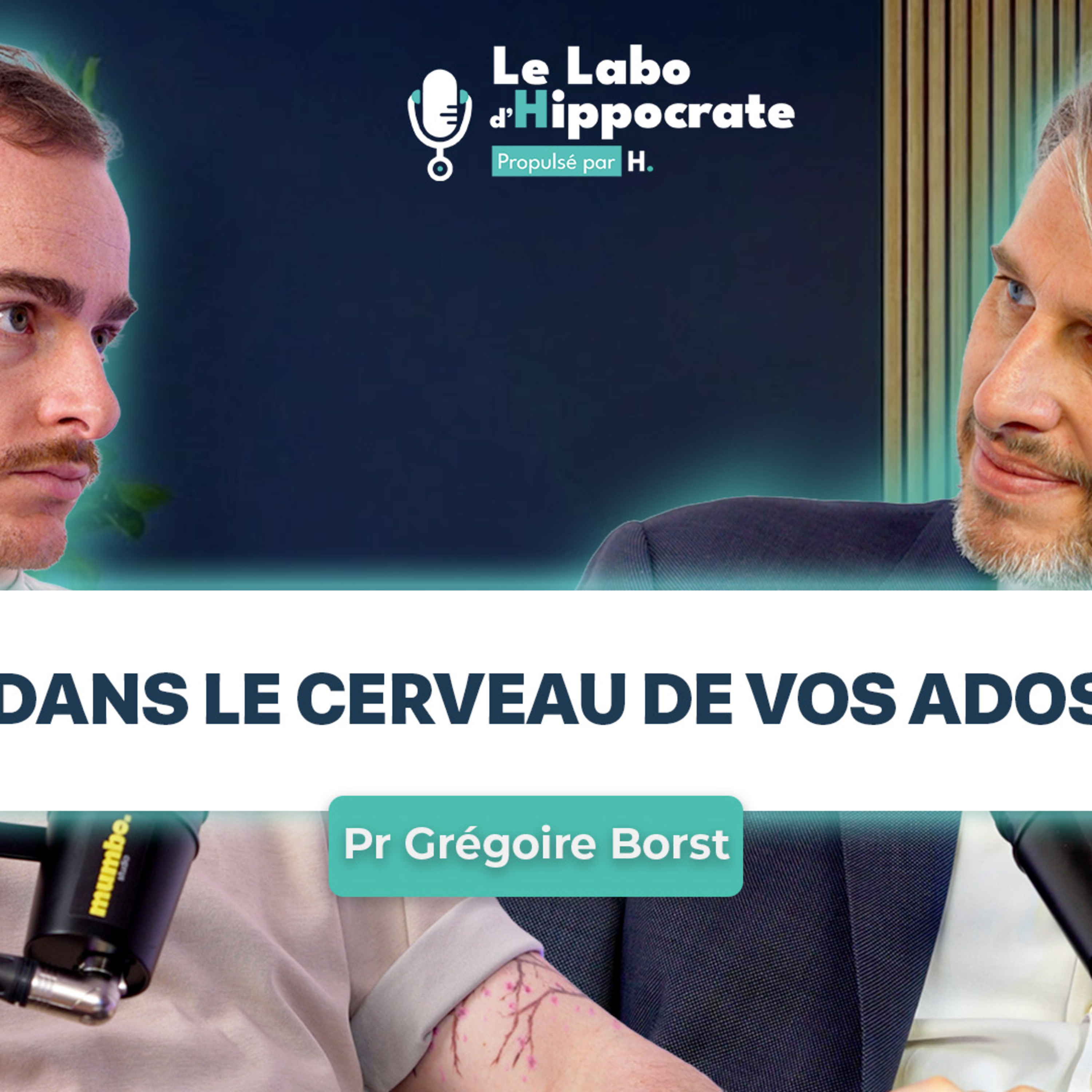 [EXTRAIT] #38 - Pr Borst : Rentrez de le cerveau de vos ados.  episode artwork