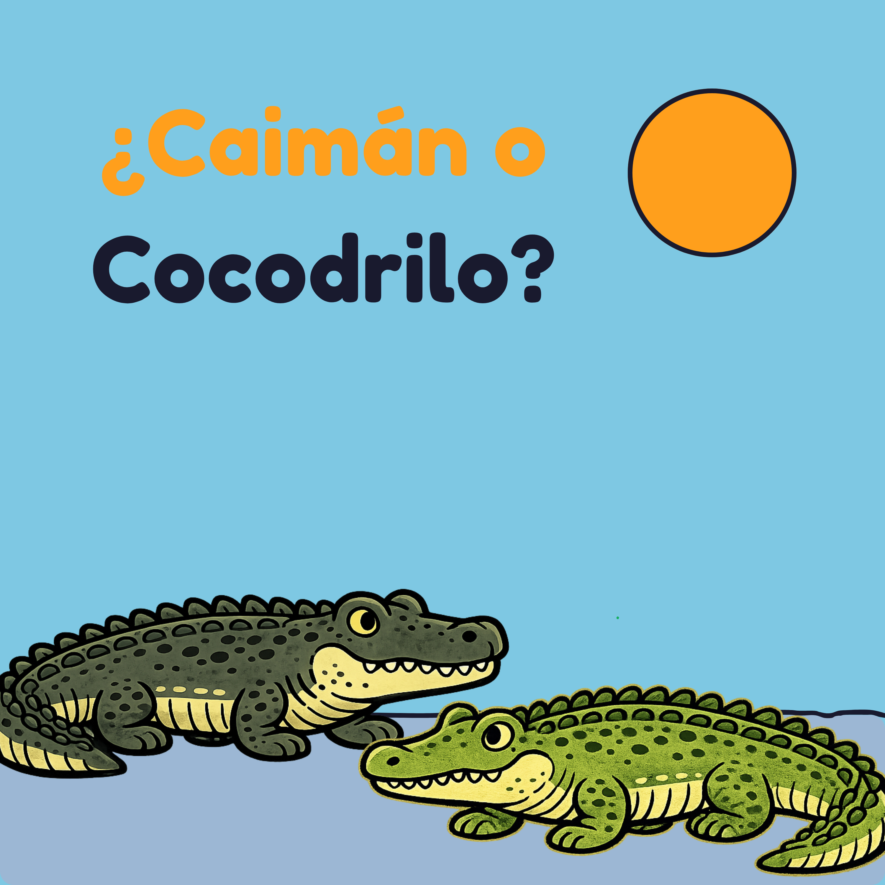Caimán o Cocodrilo: Cómo Saber Quién es Quién | Animales para Niños en Español