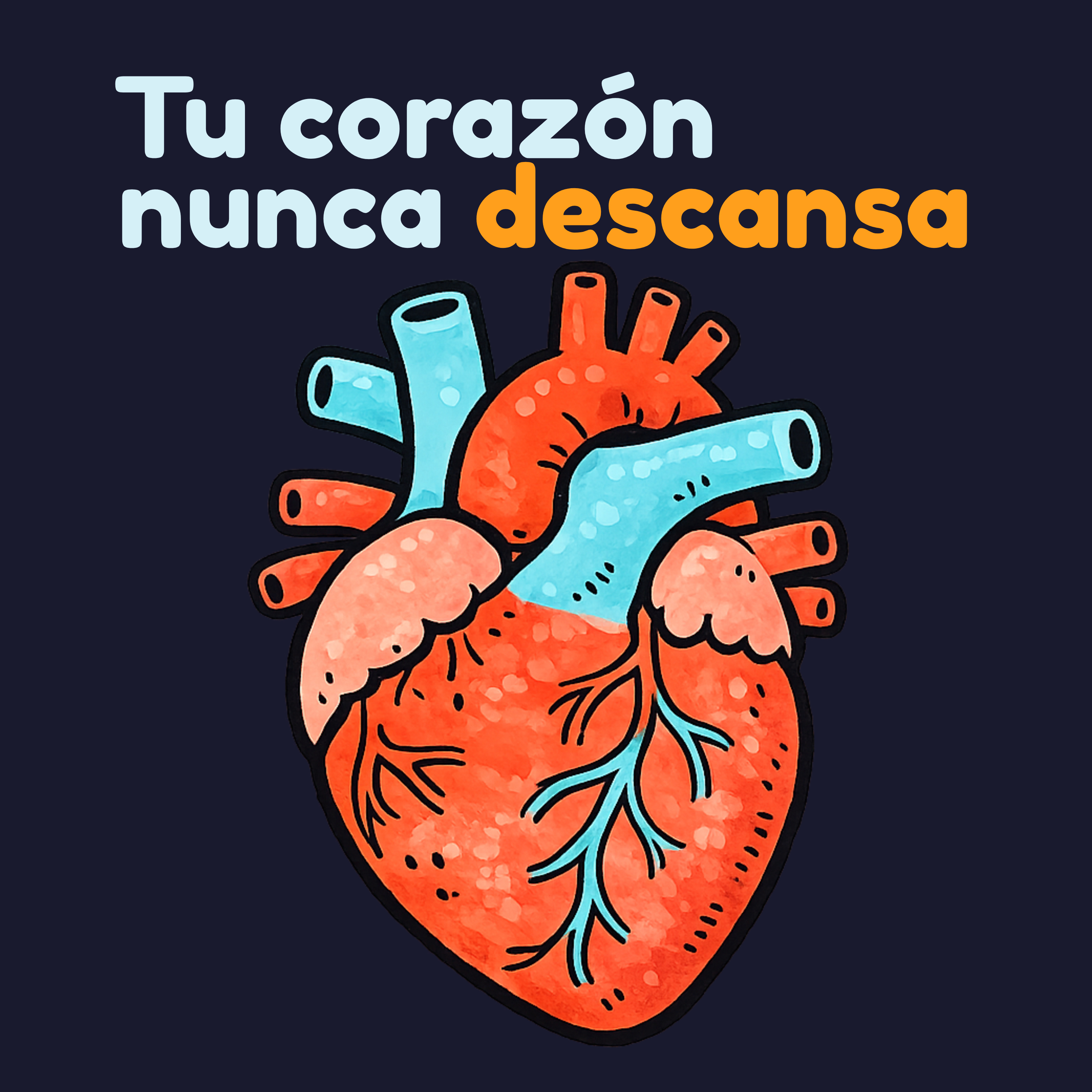 El Corazón: El Músculo que Nunca Descansa | El Cuerpo Humano para Niños en Español