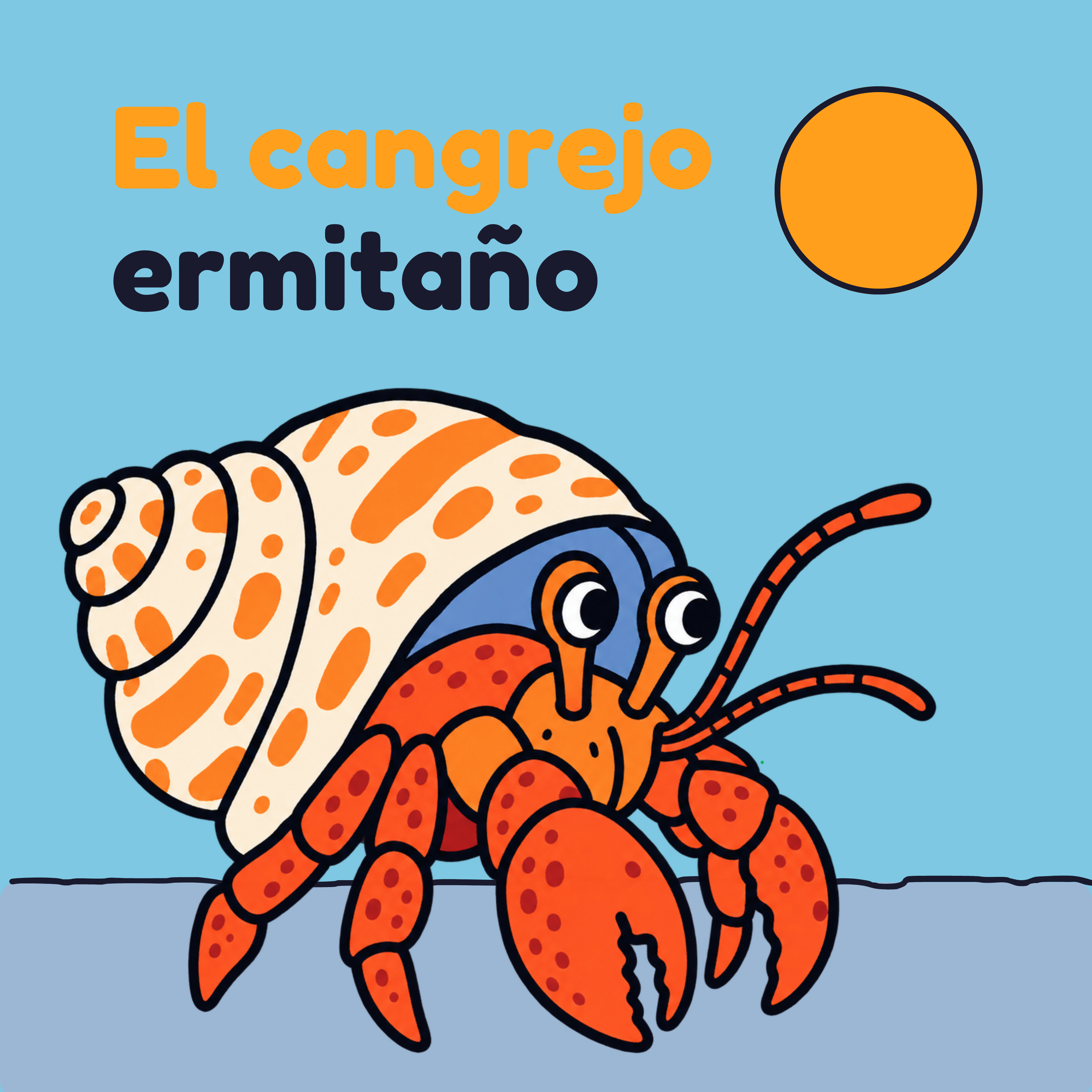 El Cangrejo Ermitaño Cambia de Casa | Animales Marinos para Niños en Español
