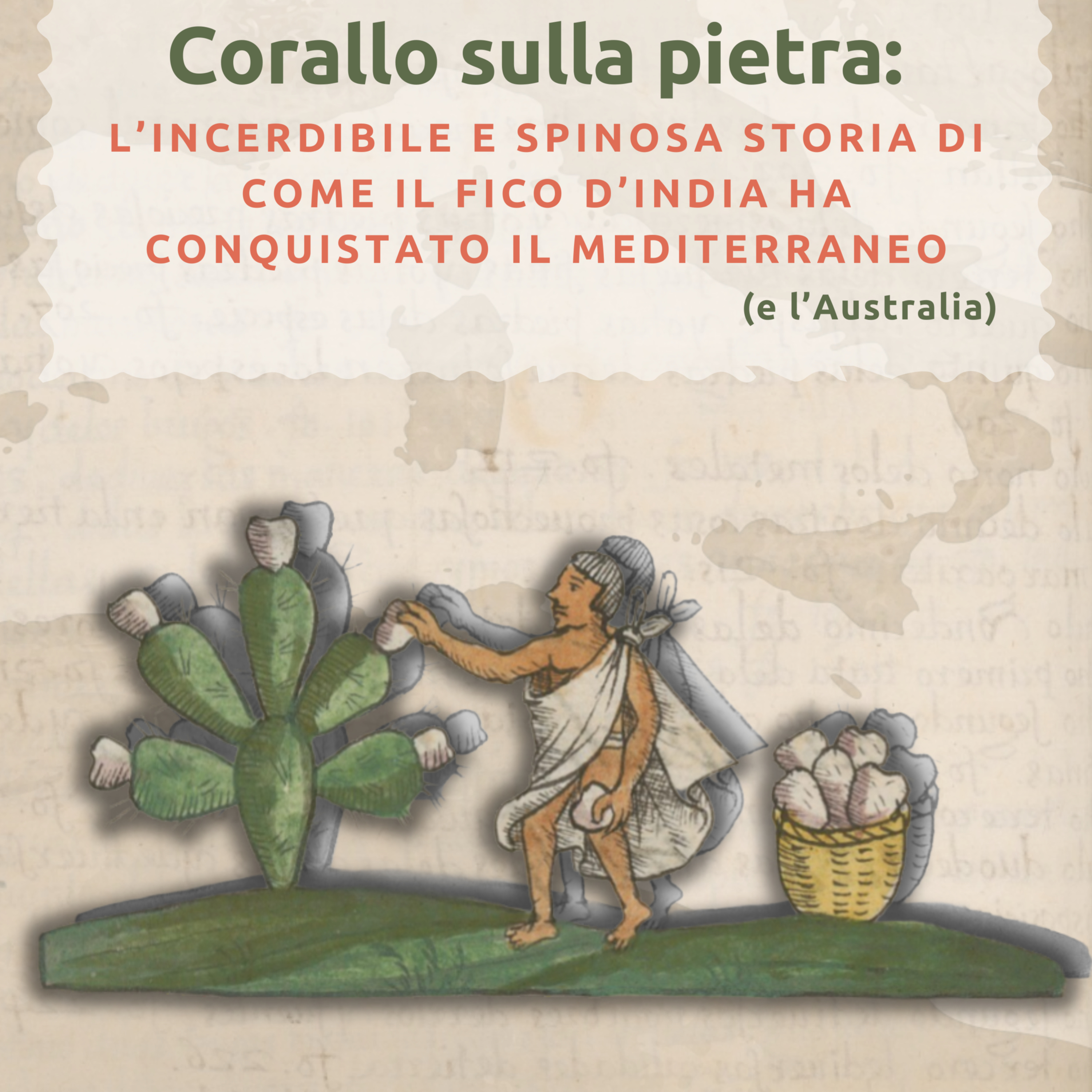 Corallo sulla pietra: l'incredibile e spinosa storia di come il ficod'india ha conquistato il Mediterraneo (e l'Australia) | VBR. Ep.10 episode artwork