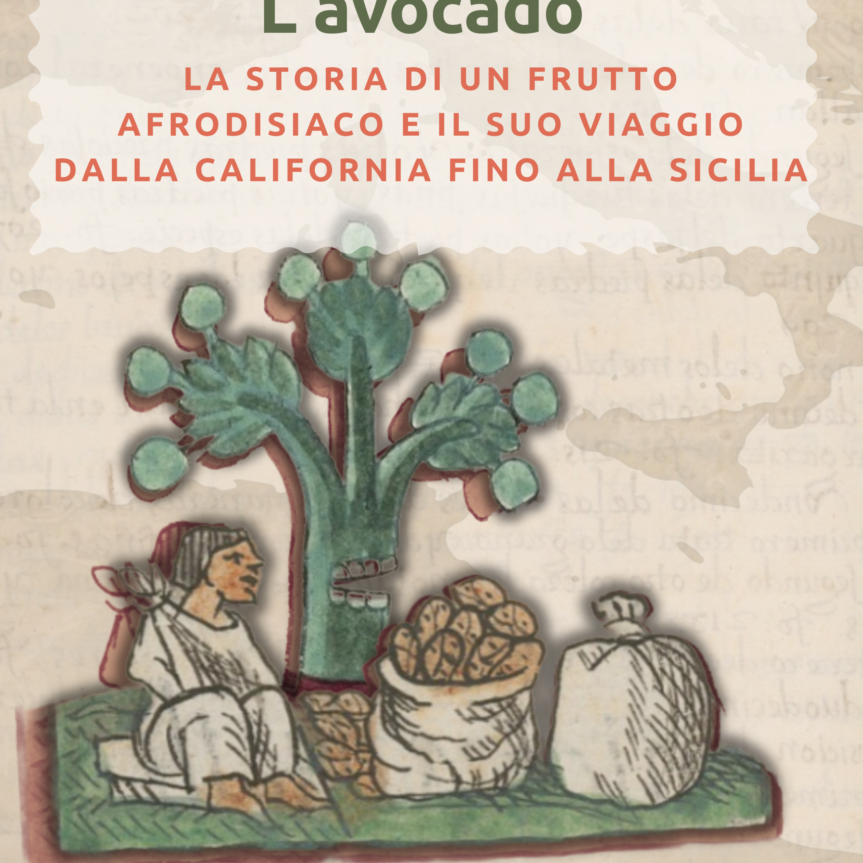 L'avocado: La storia di un frutto afrodisiaco e il suo viaggio dalla California fino alla Sicilia |VBR. Ep.12 episode artwork