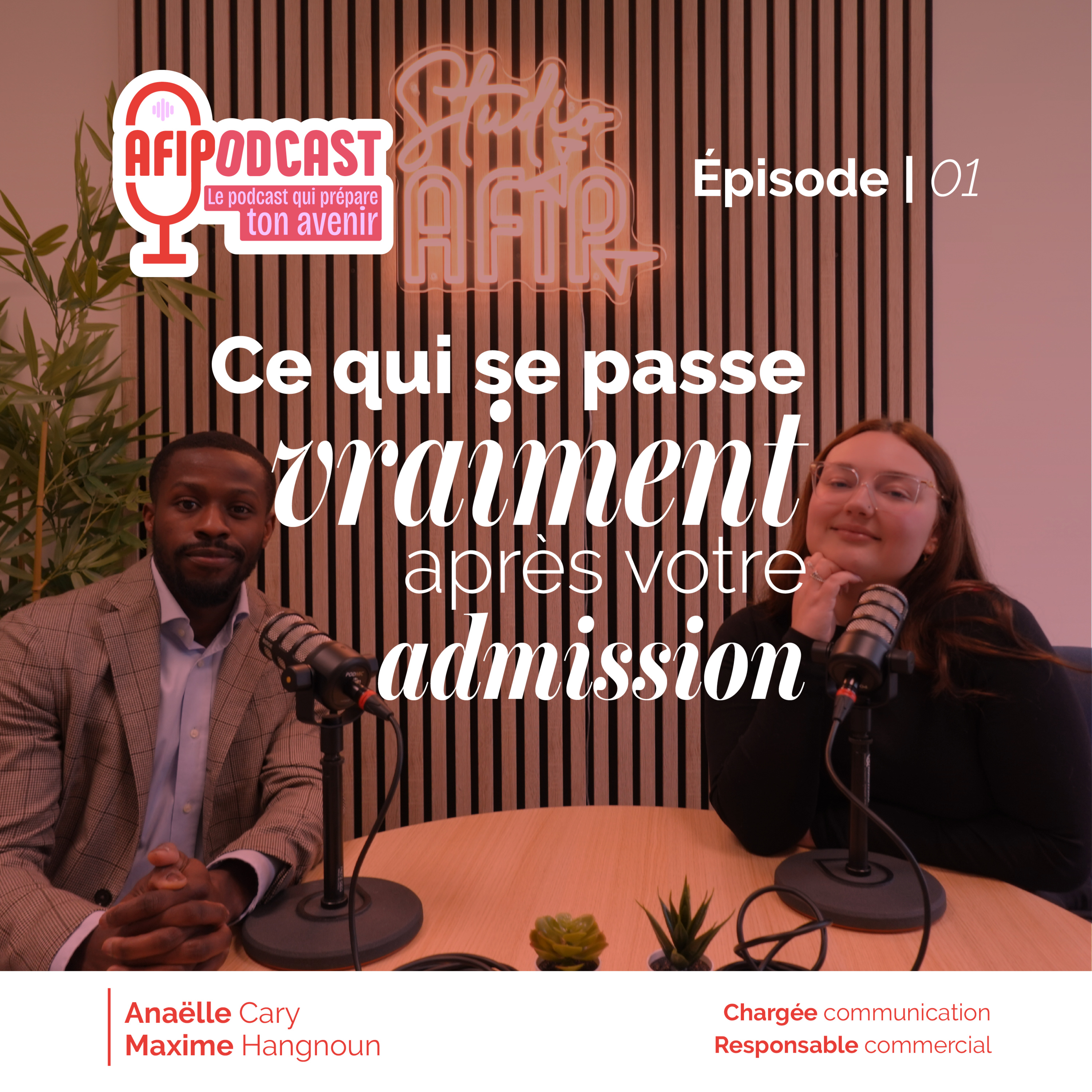 Ce qu'il se passe vraiment après votre admission à l'AFIP ? episode artwork
