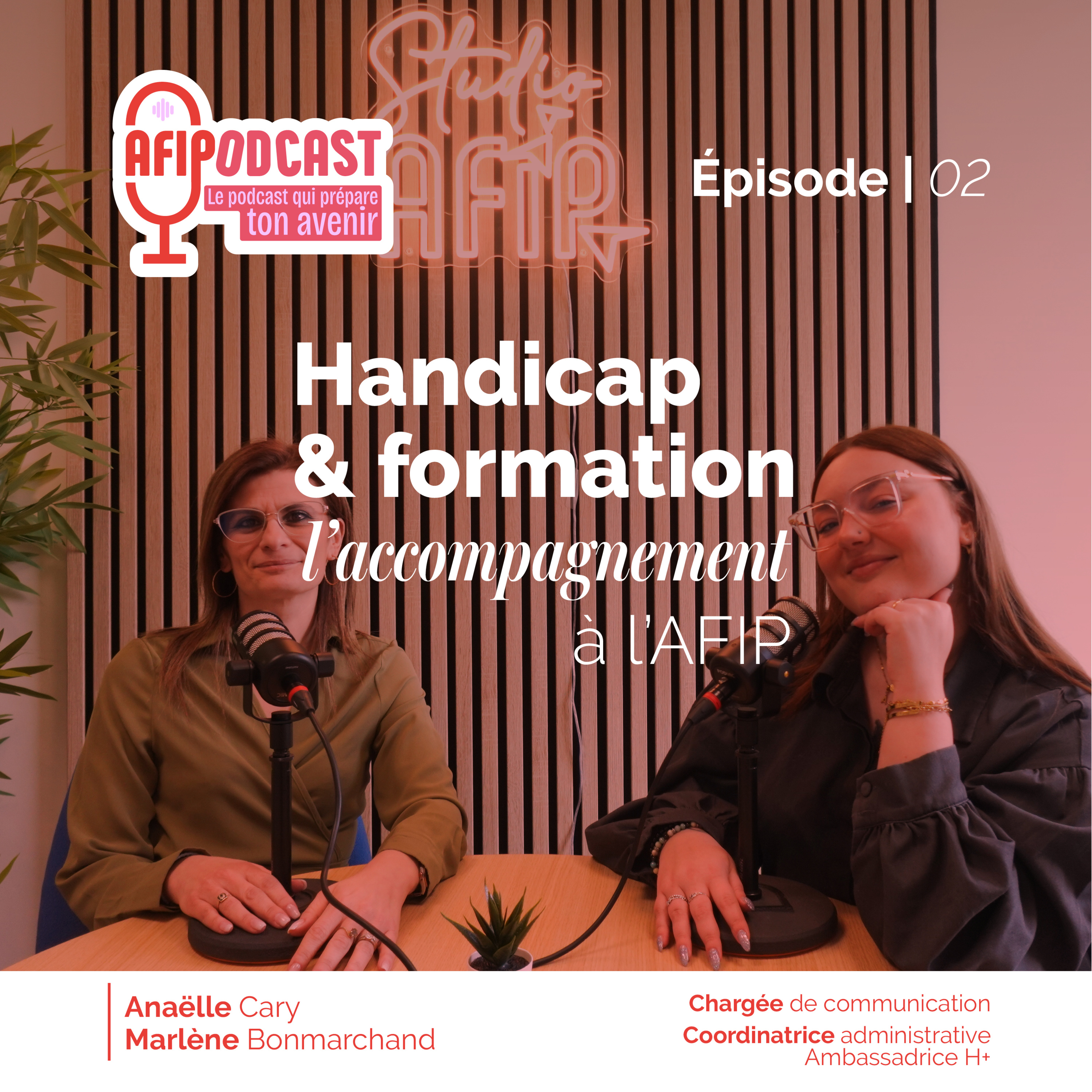 Handicap et formation, l'accompagnement à l'AFIP