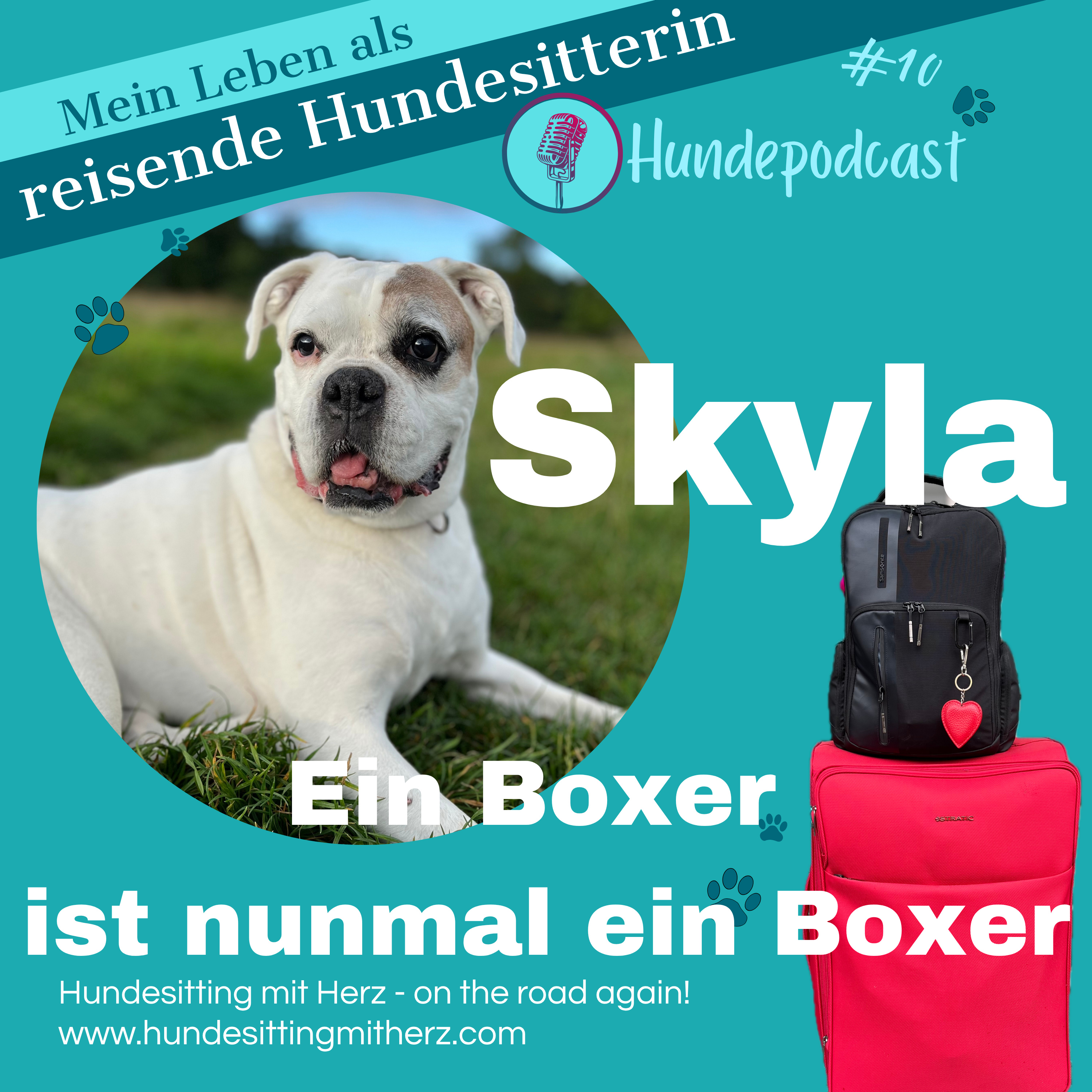 #10 Skyla. Ein Boxer ist nunmal ein Boxer. Ein Hundepodcast! episode artwork