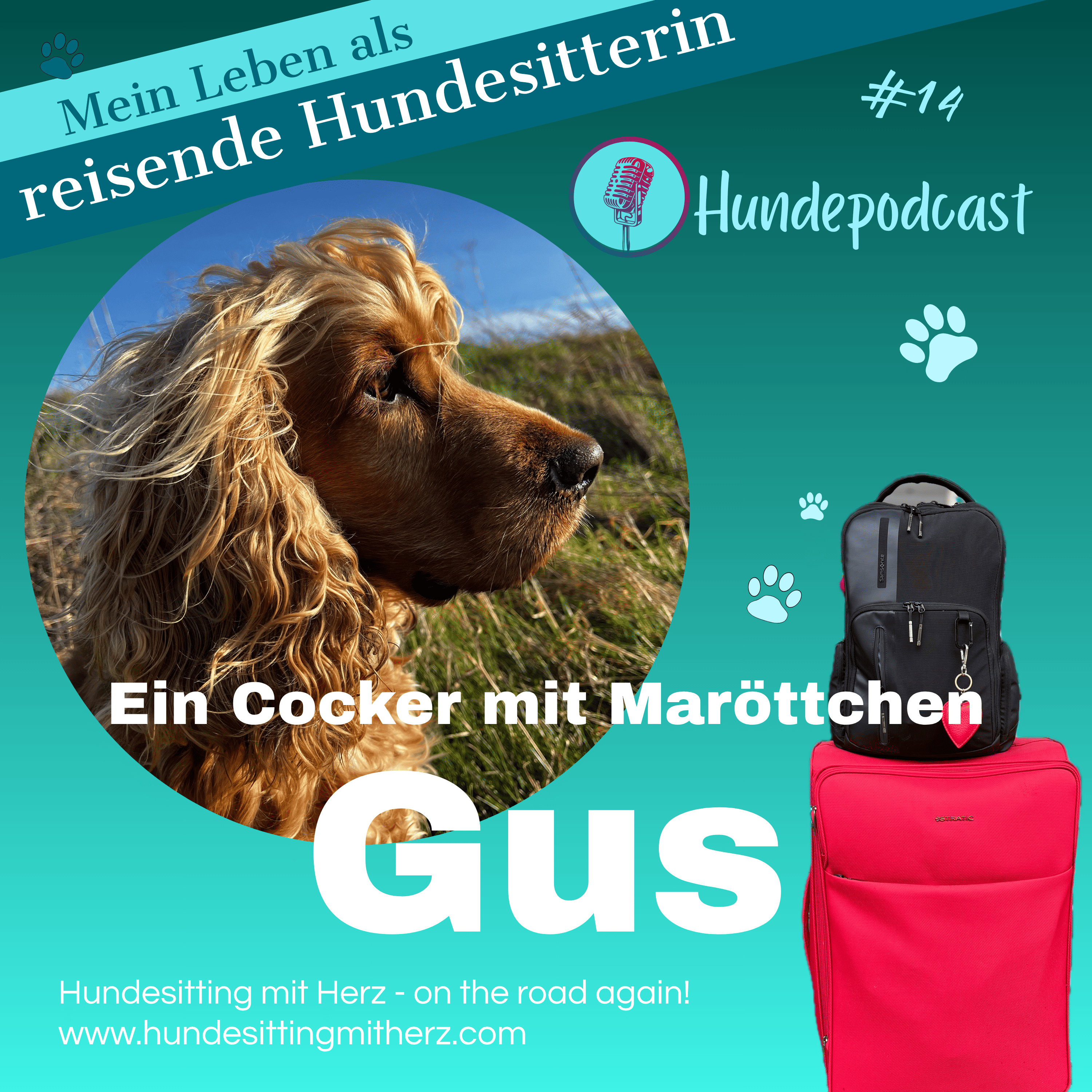 #14 Gus. Ein Cocker mit Maröttchen. Hundepodcast. episode artwork