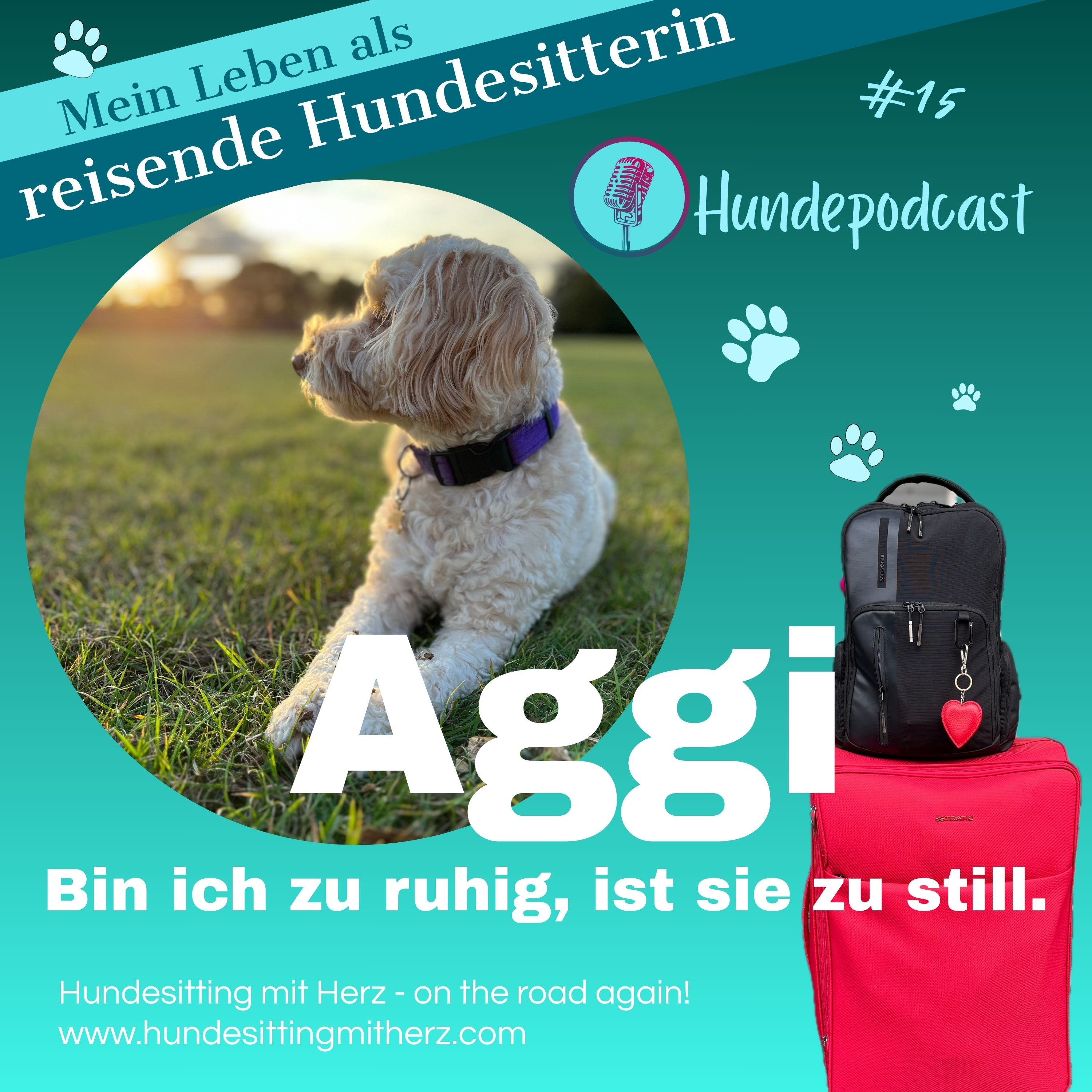#15 Aggi. Bin ich zu ruhig, ist sie zu still. Hundepodcast. episode artwork