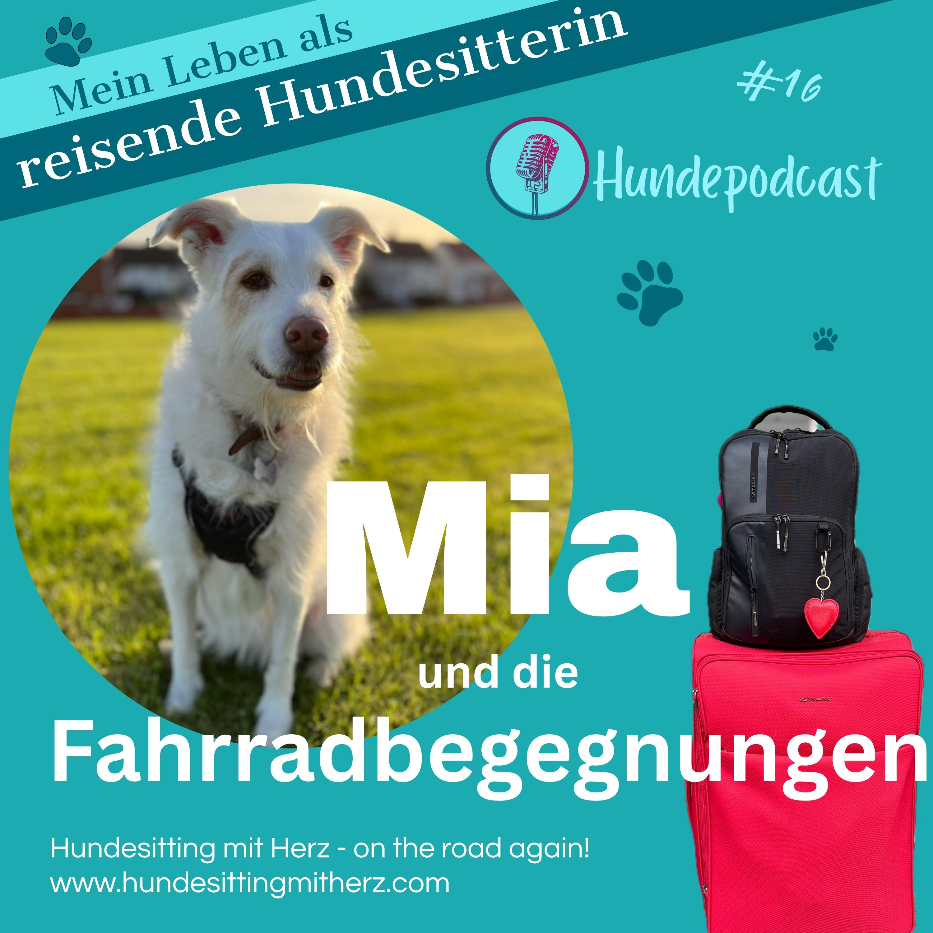 #16 Mia und die Fahrradbegegnungen episode artwork