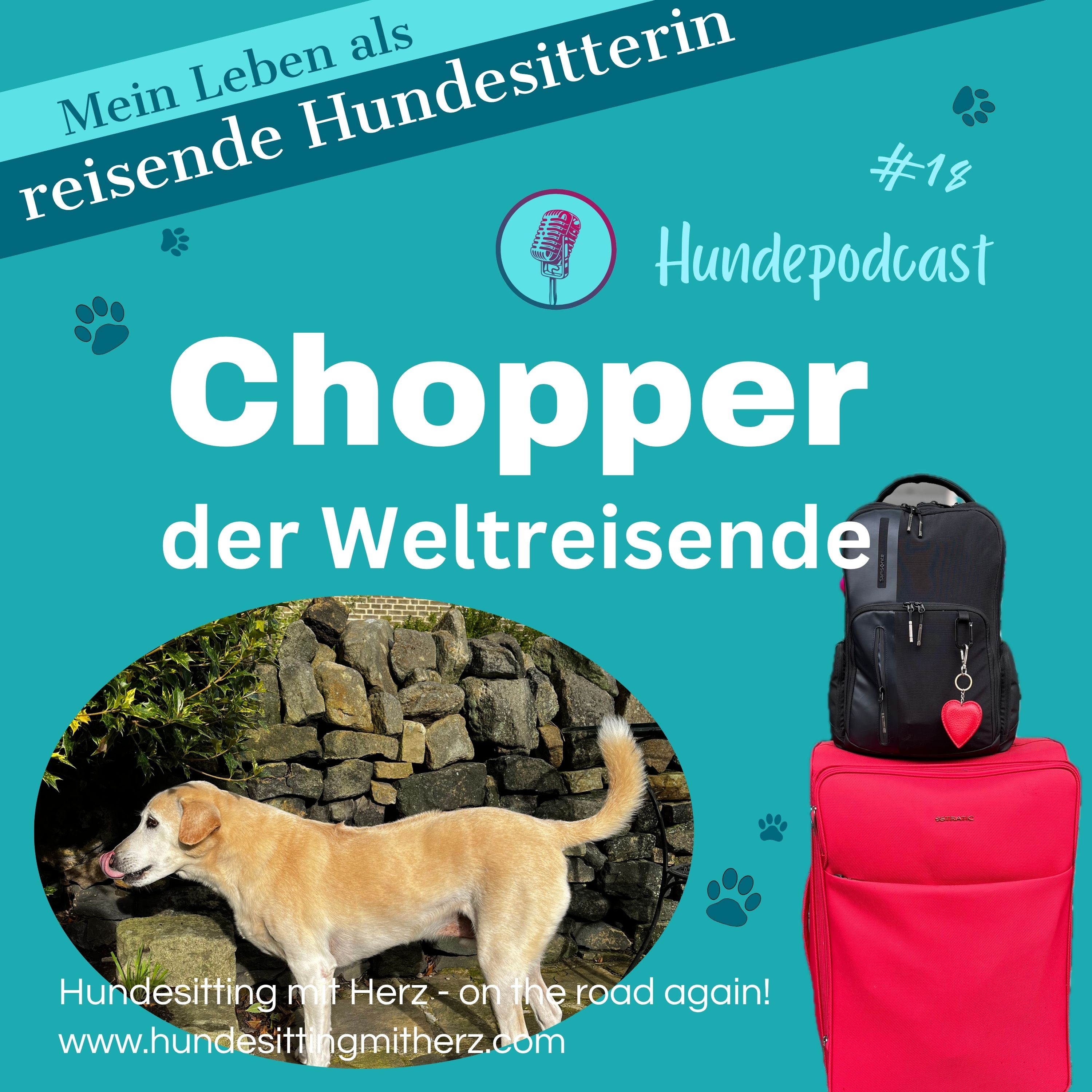 #18 Chopper der Weltreisende episode artwork
