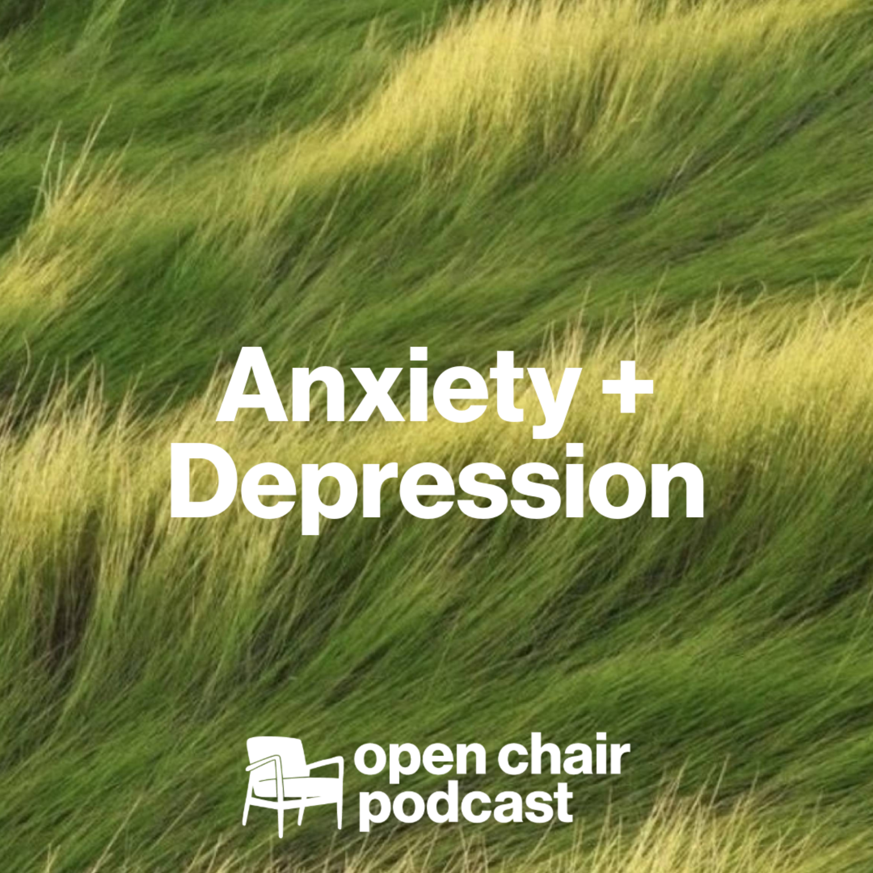 Episode 3: Anxiety and Depression episode artwork