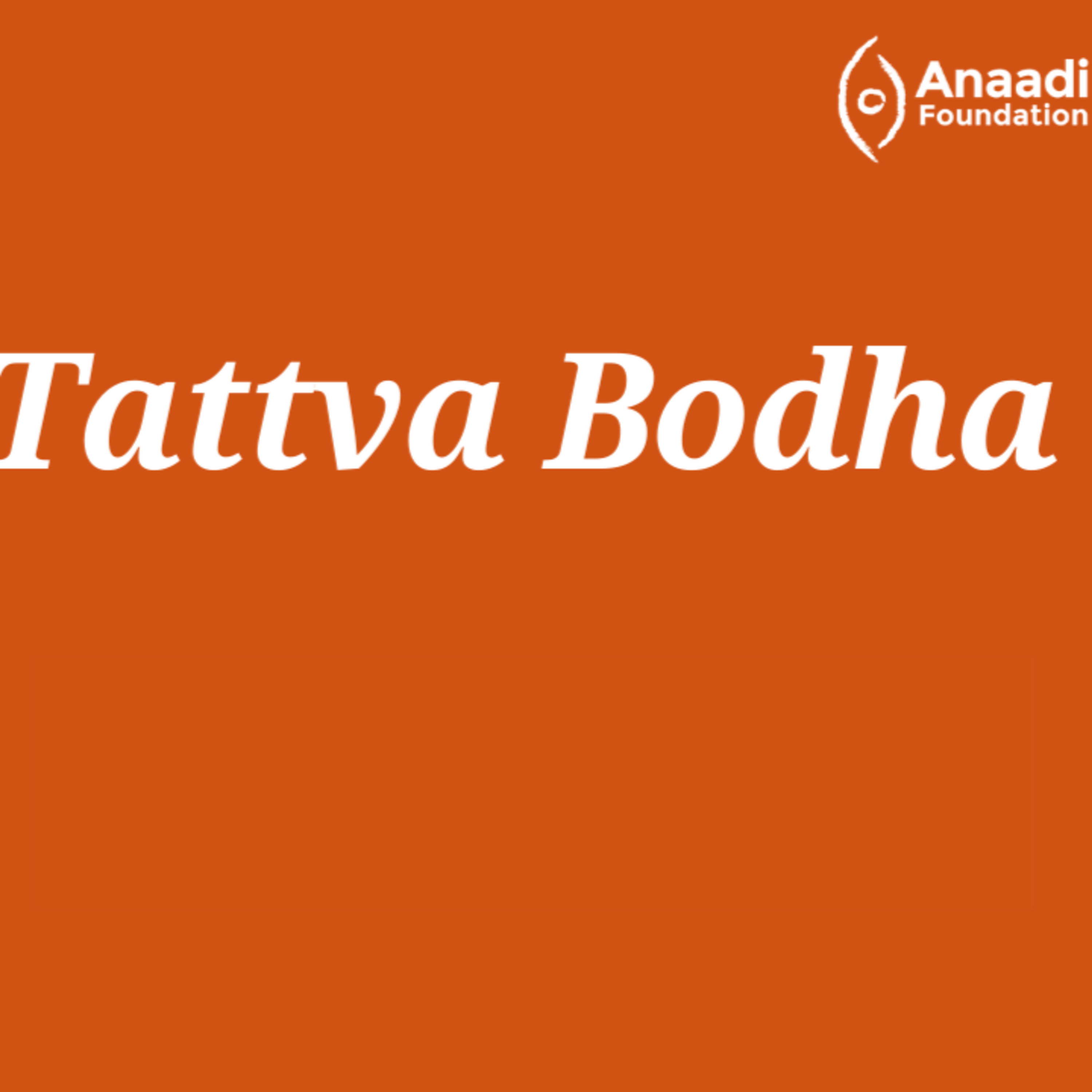 Anaadi Foundation