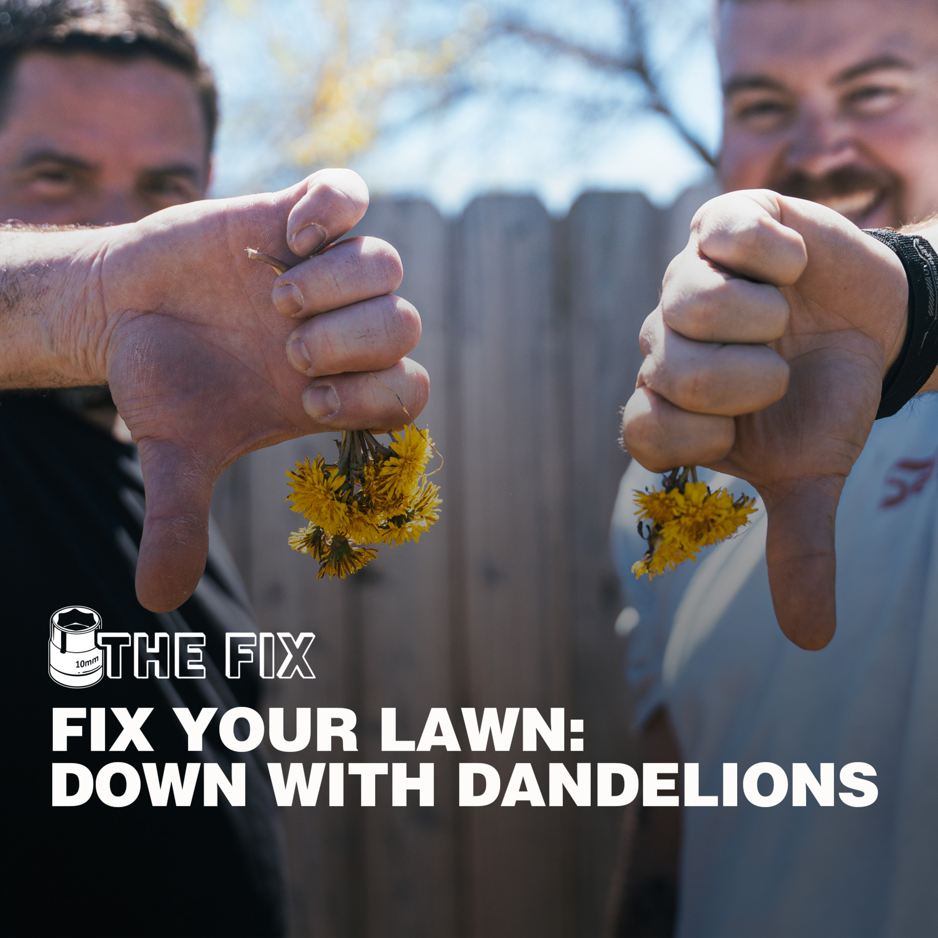 Fix Your Lawn! episode artwork