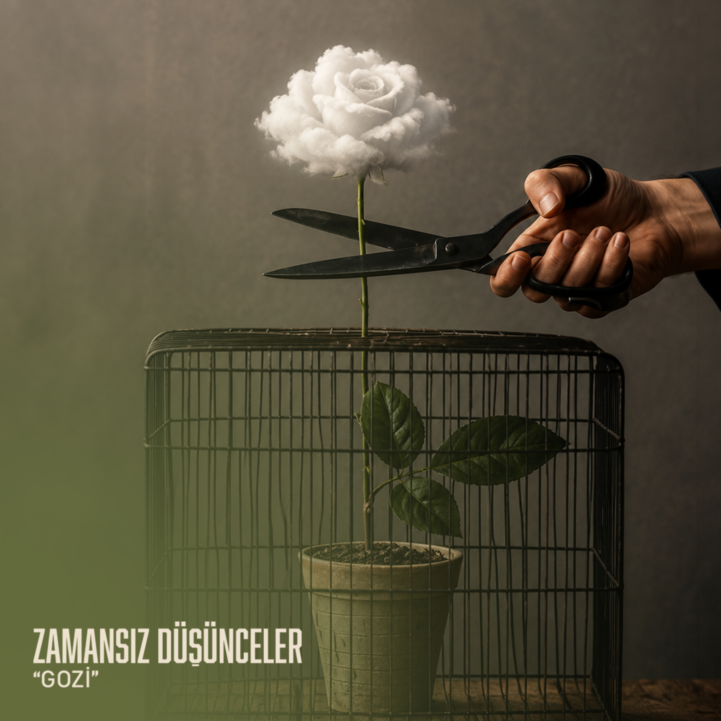 Haset:Başkasının Tokluğuna Duyulan Öfke episode artwork
