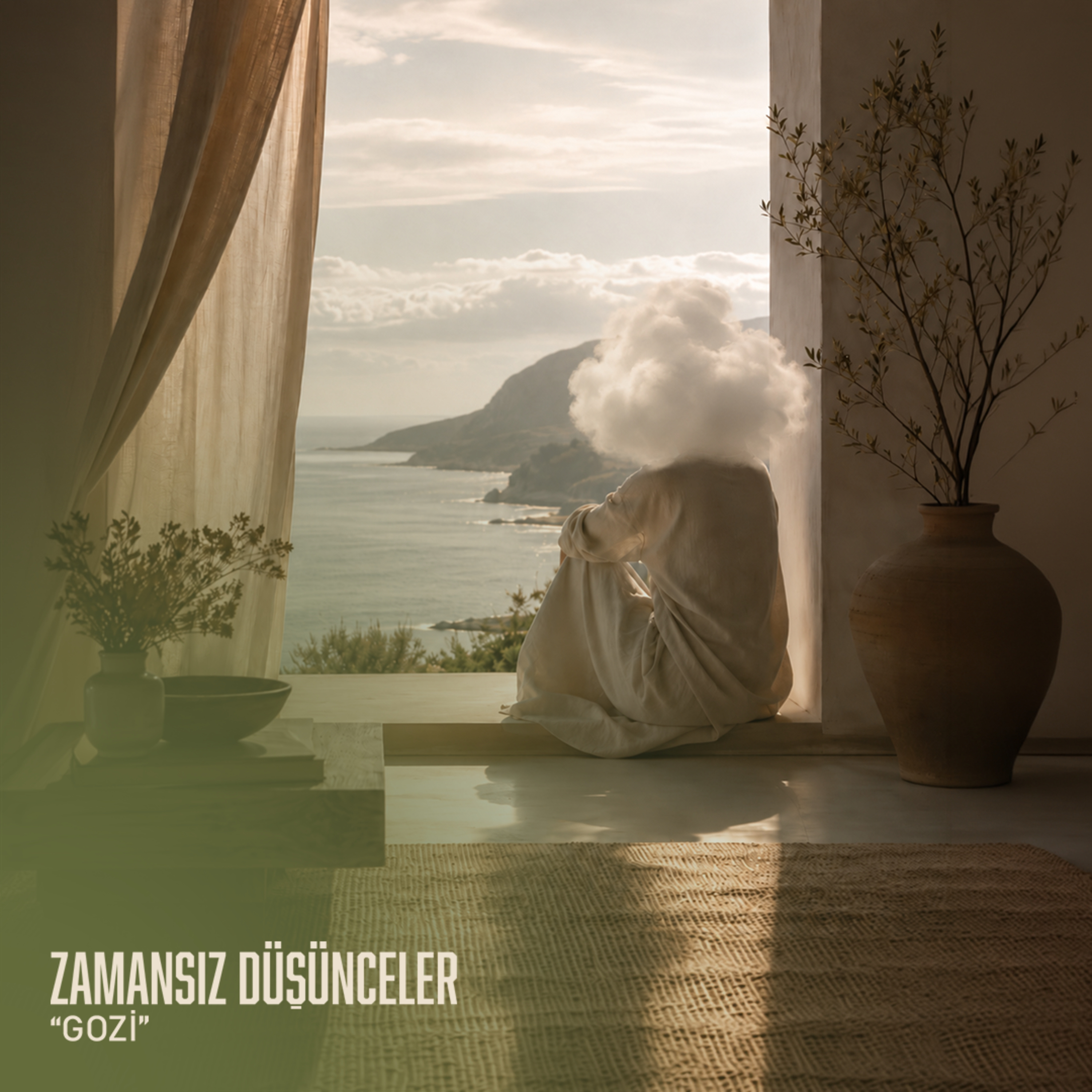 Azaldıkça Çoğalmak: Minimalizm episode artwork