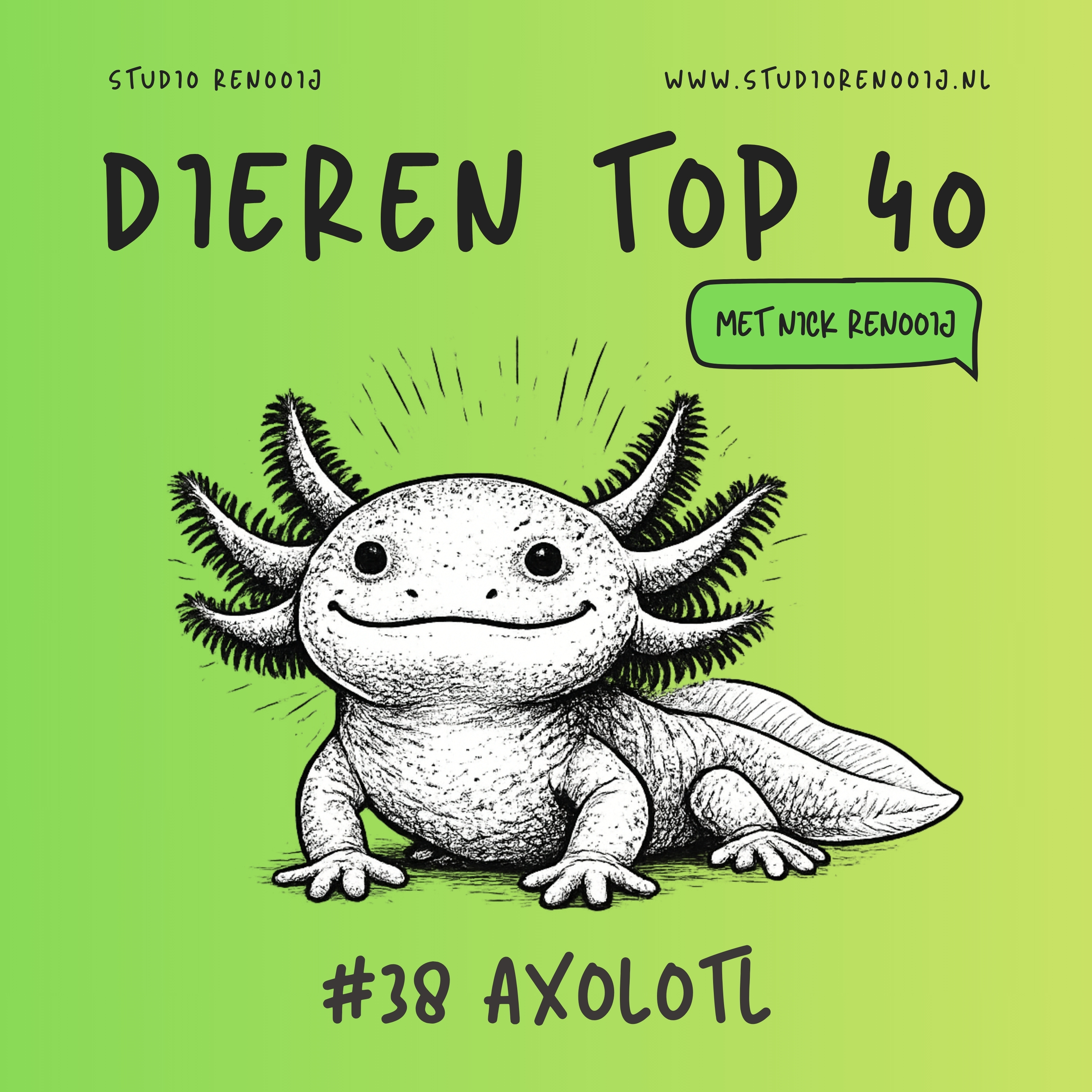 Axolotl (38)