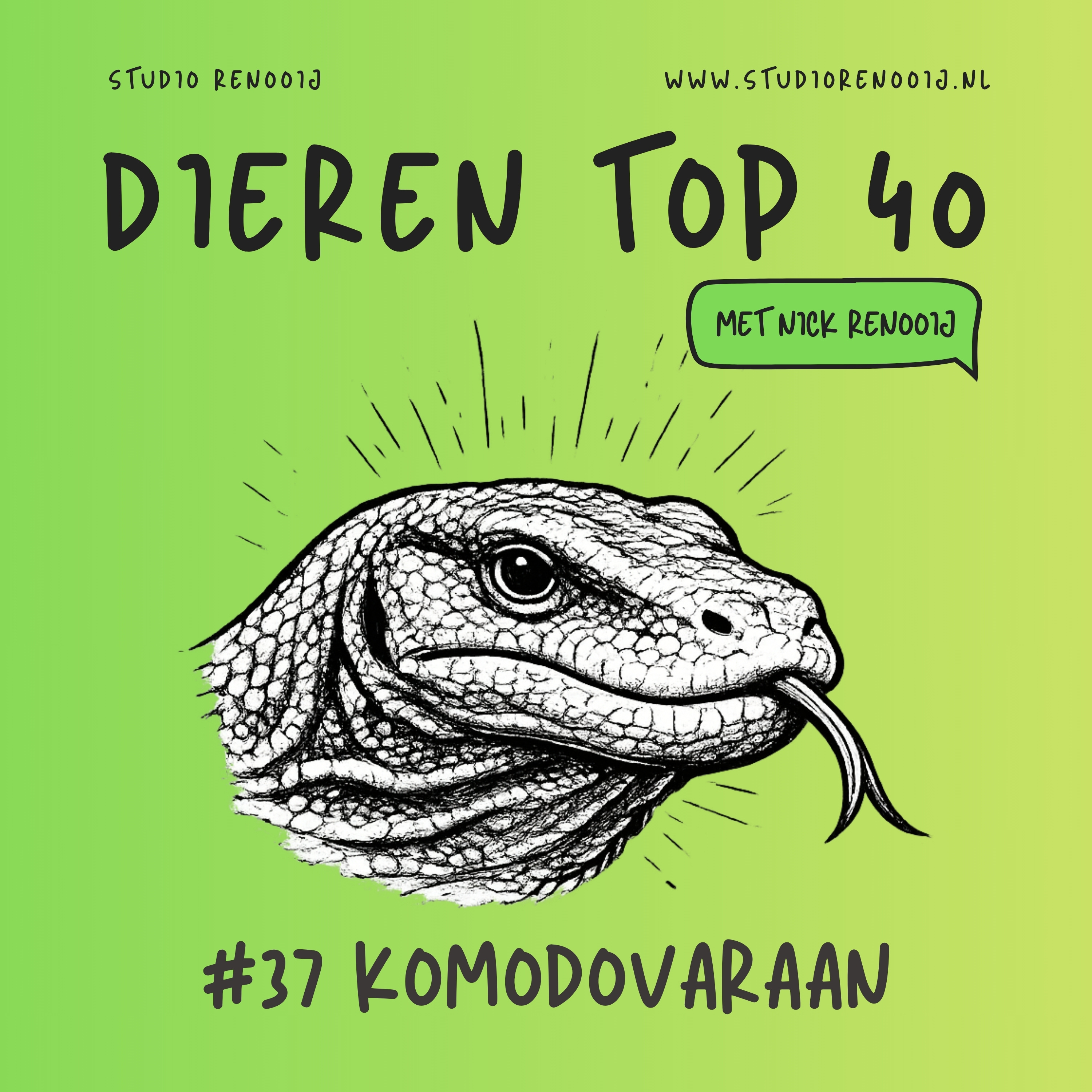 Komodovaraan (37)