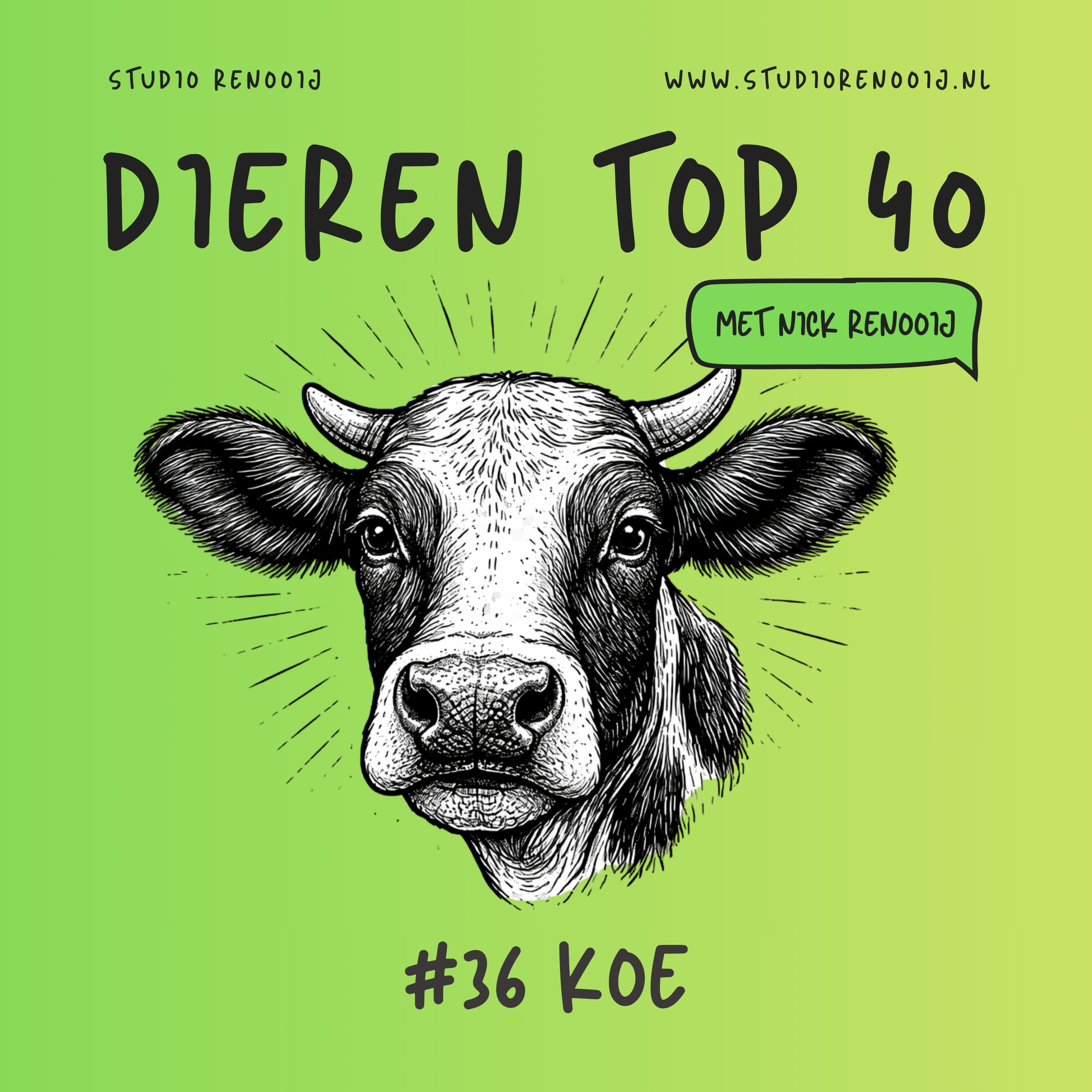 Koe (36)