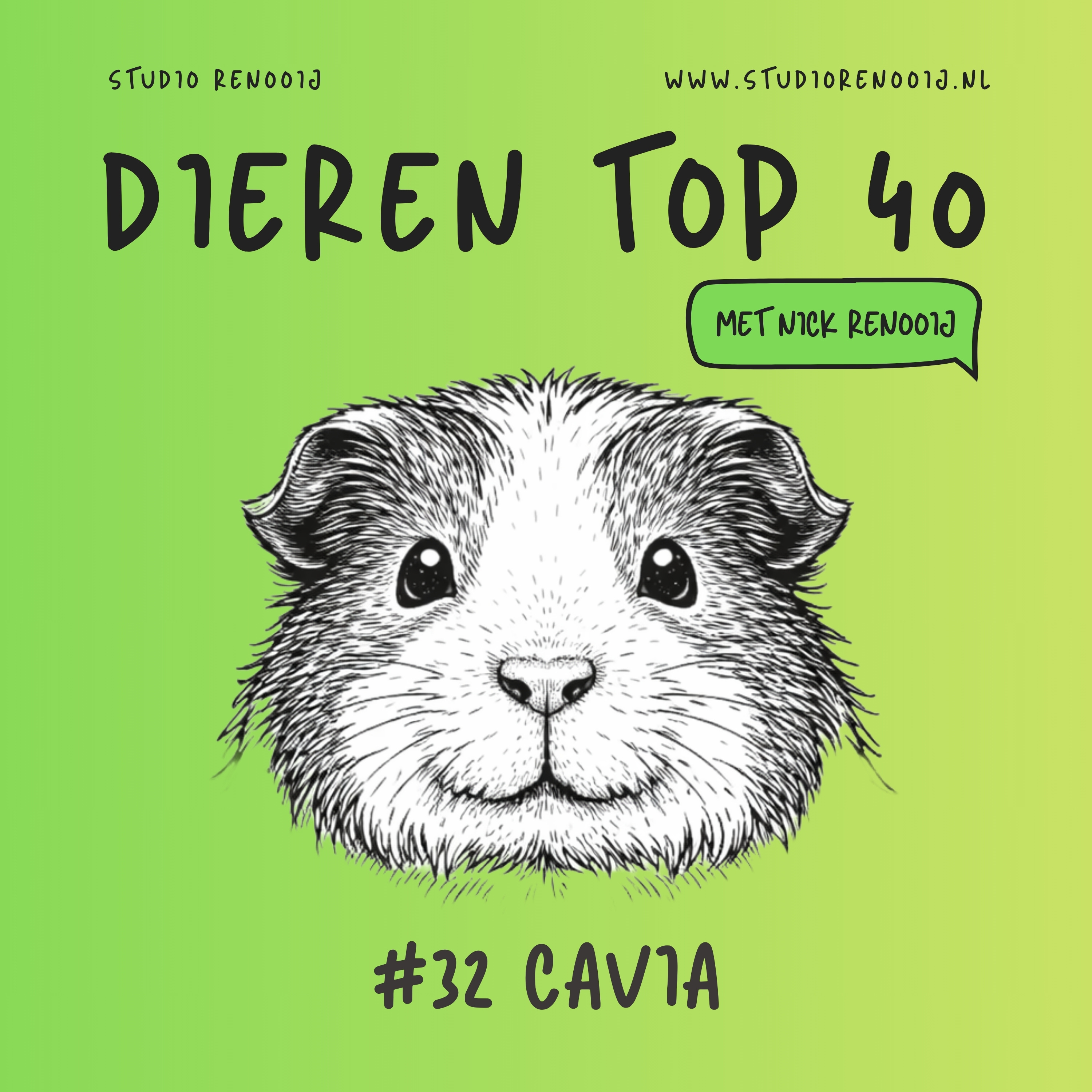 Cavia (32)
