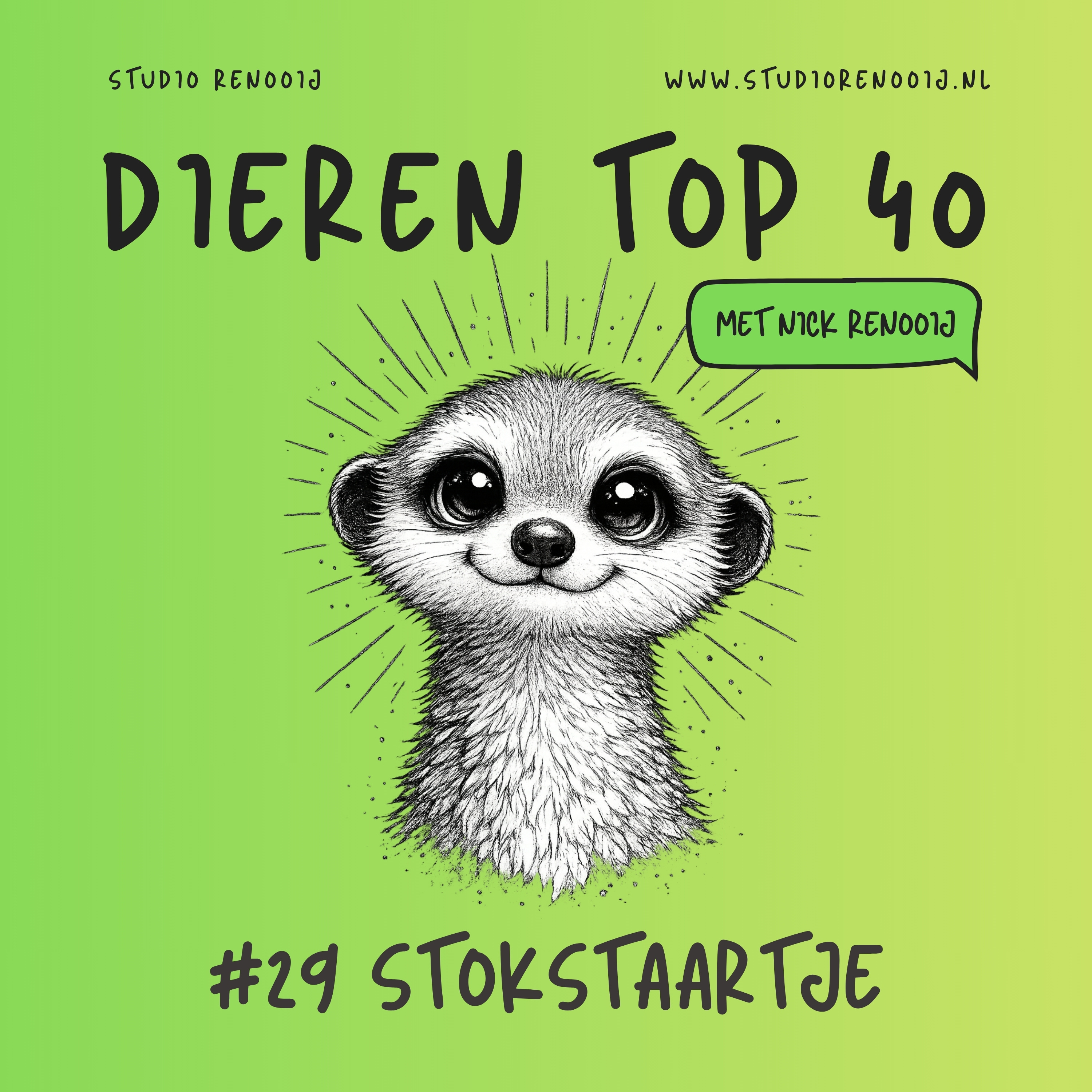 Stokstaartje (29)